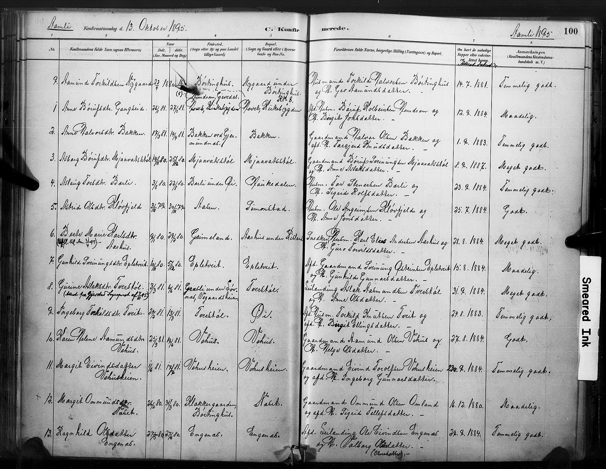 Åmli sokneprestkontor, SAK/1111-0050/F/Fa/Fac/L0010: Parish register (official) no. A 10 /1, 1885-1899, p. 100