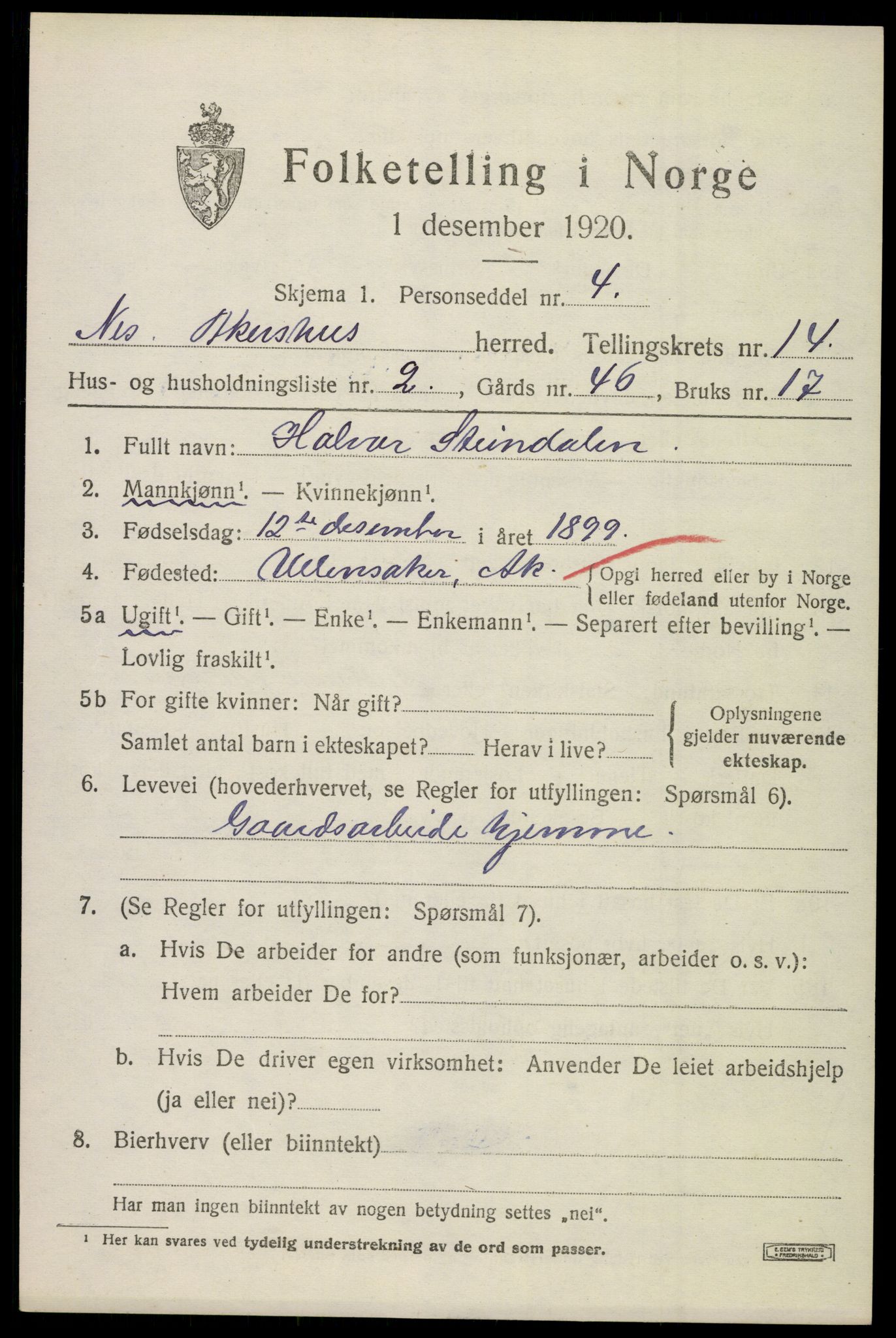 SAO, 1920 census for Nes, 1920, p. 13962