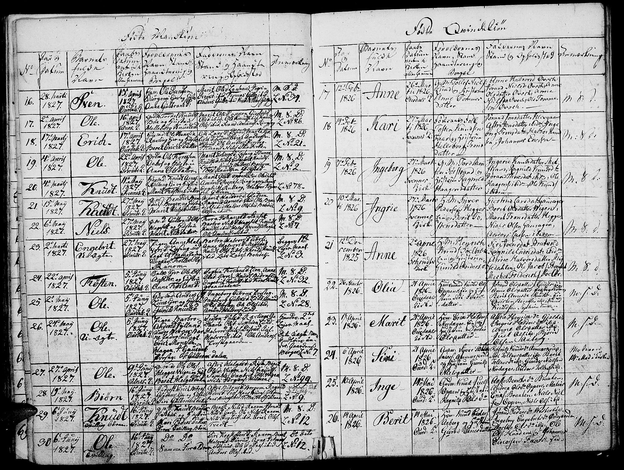 Nord-Aurdal prestekontor, SAH/PREST-132/H/Ha/Haa/L0002: Parish register (official) no. 2, 1816-1828, p. 96c