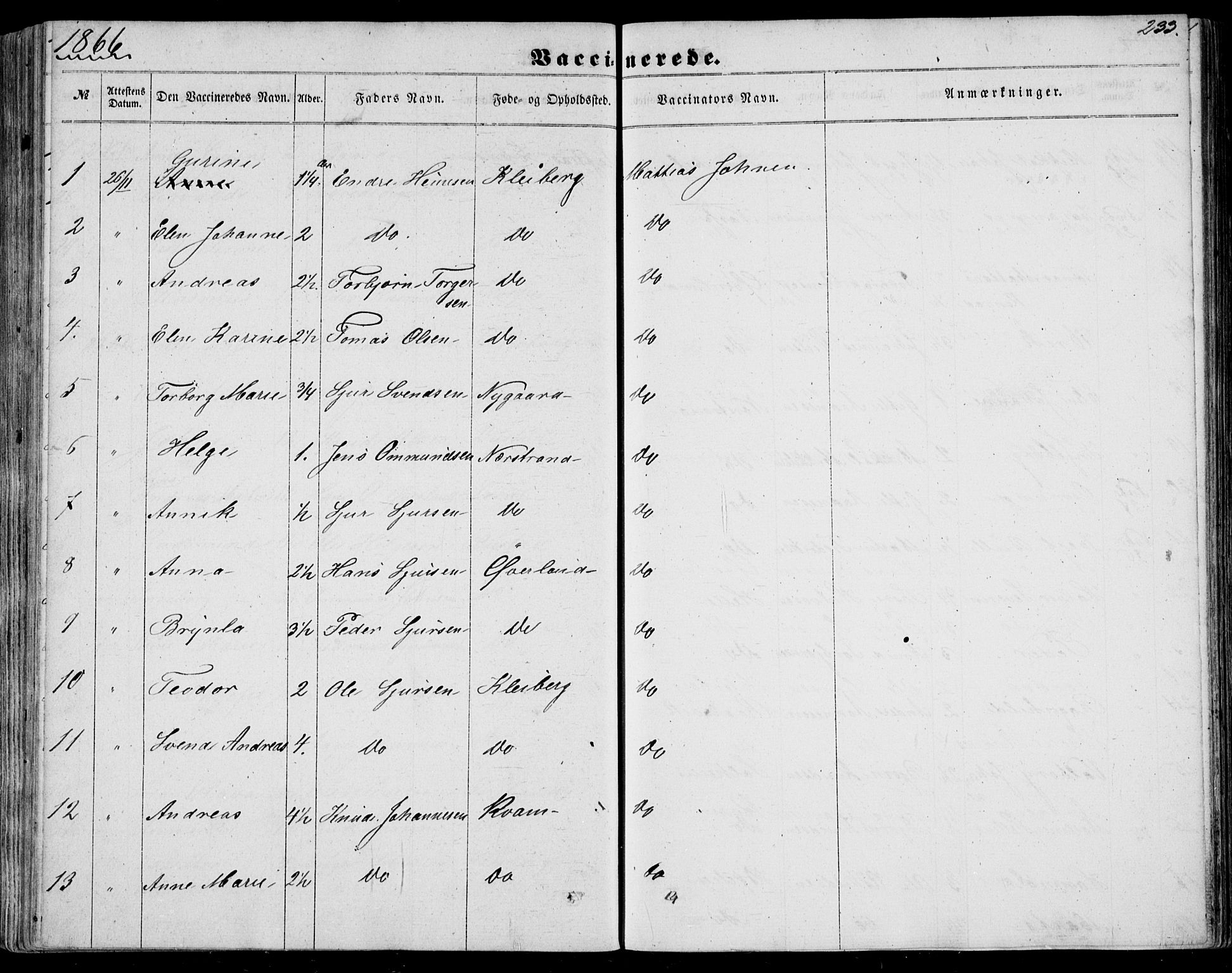 Nedstrand sokneprestkontor, SAST/A-101841/01/IV: Parish register (official) no. A 9, 1861-1876, p. 233