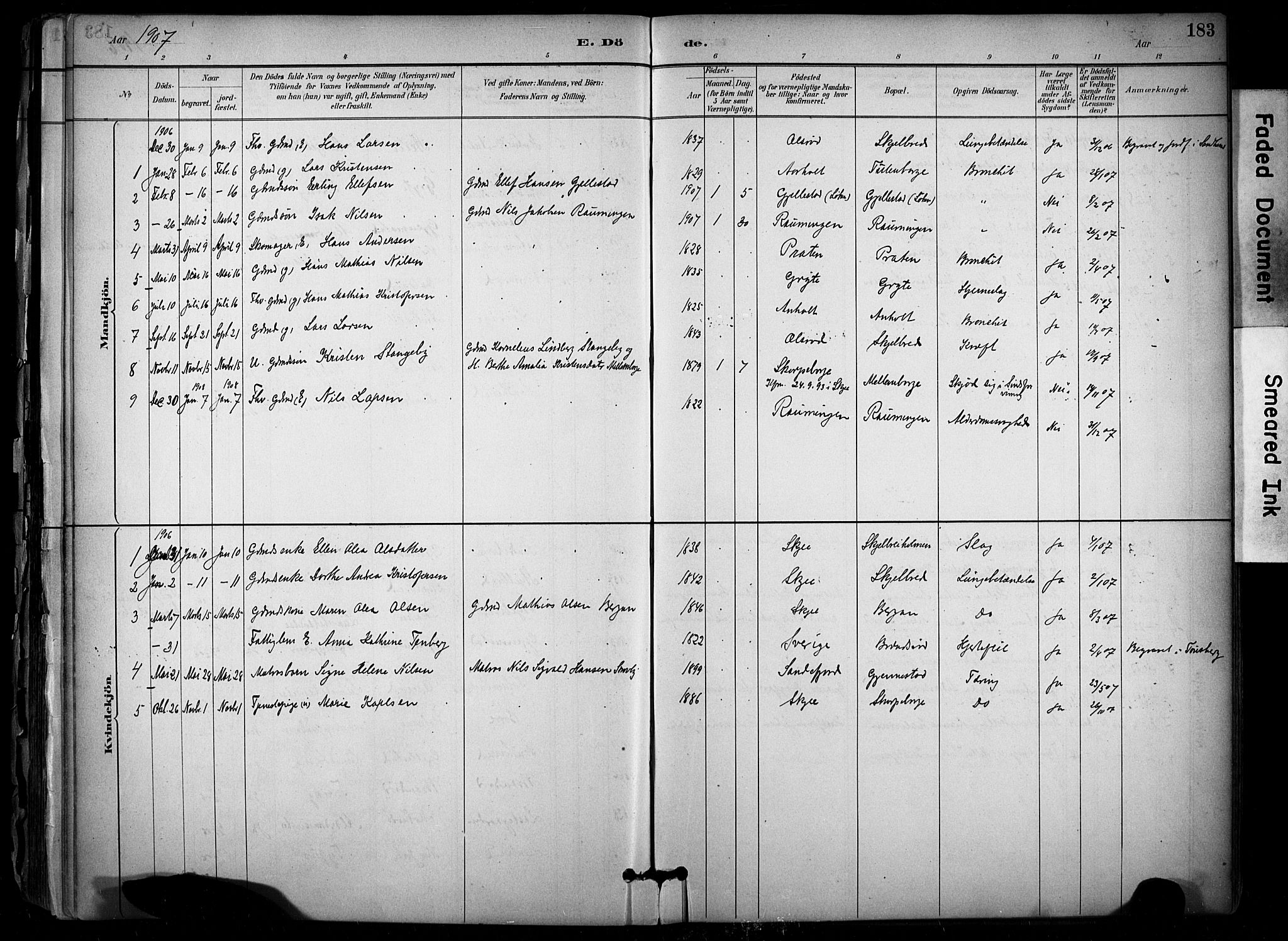 Stokke kirkebøker, SAKO/A-320/F/Fb/L0001: Parish register (official) no. II 1, 1884-1910, p. 183