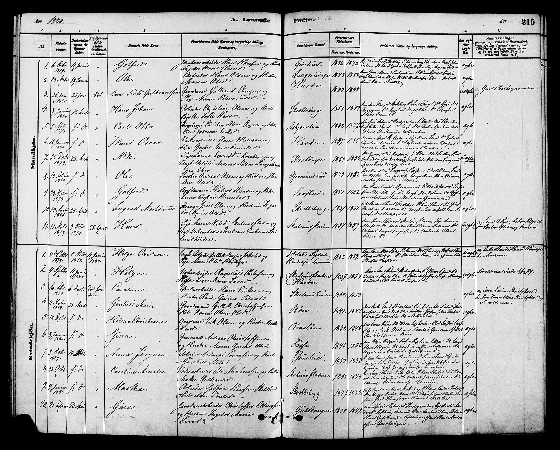 Modum kirkebøker, SAKO/A-234/F/Fa/L0015: Parish register (official) no. 15 /2, 1877-1889, p. 215