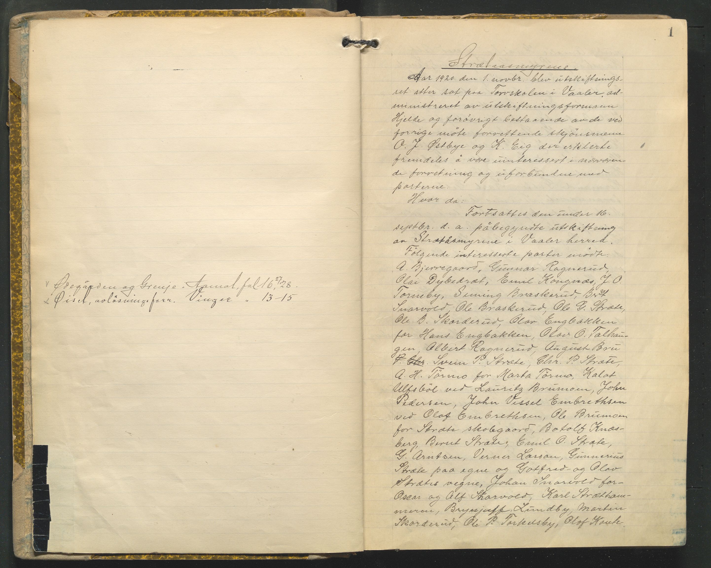 Hedmark og Østerdal jordskifterett, AV/SAH-JORDSKIFTEH-002/G/Ga/L0005/0002: Rettsbøker / Rettsbok - P, 1920-1923, p. 1