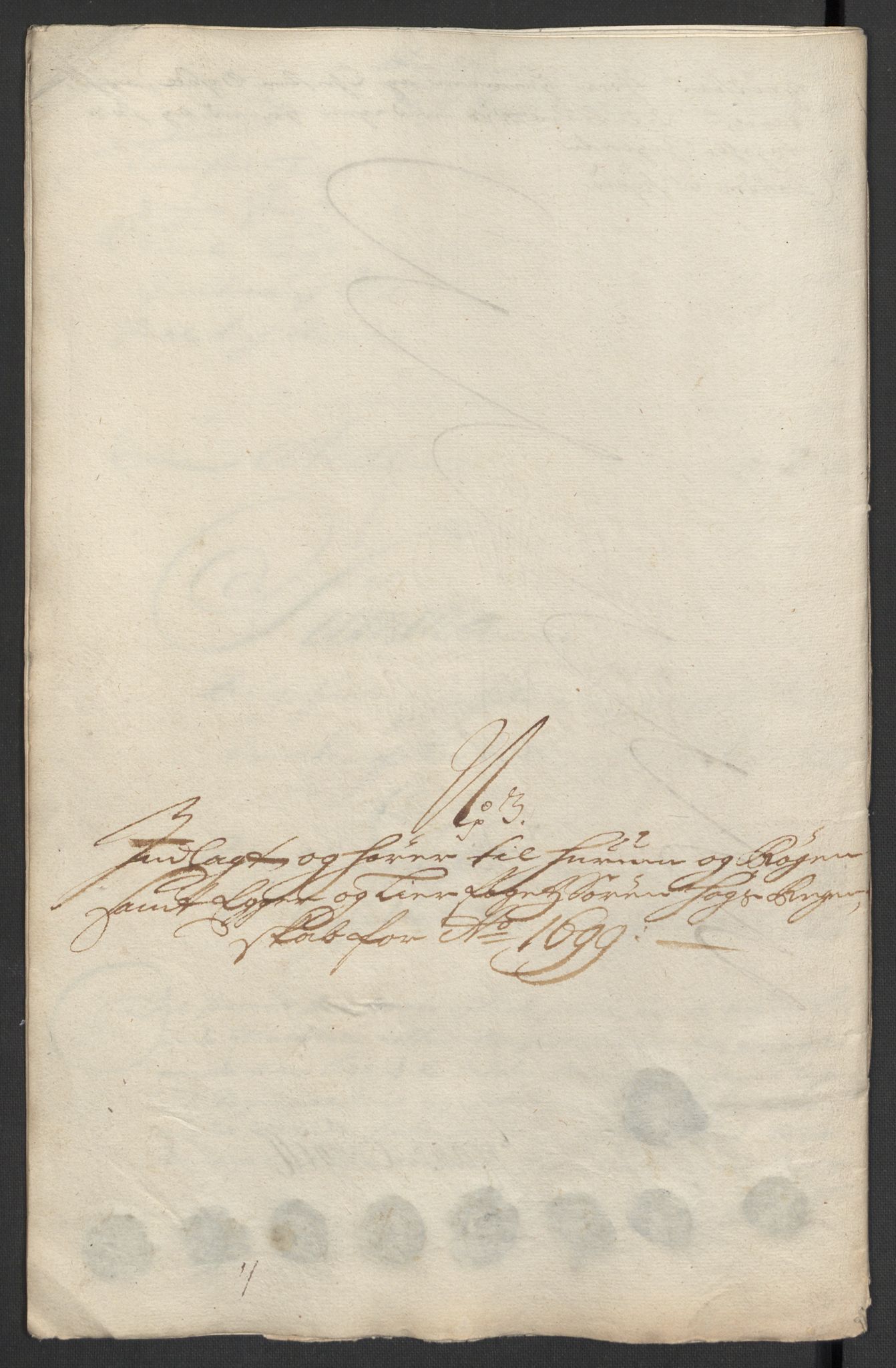 Rentekammeret inntil 1814, Reviderte regnskaper, Fogderegnskap, AV/RA-EA-4092/R30/L1696: Fogderegnskap Hurum, Røyken, Eiker og Lier, 1698-1699, p. 205