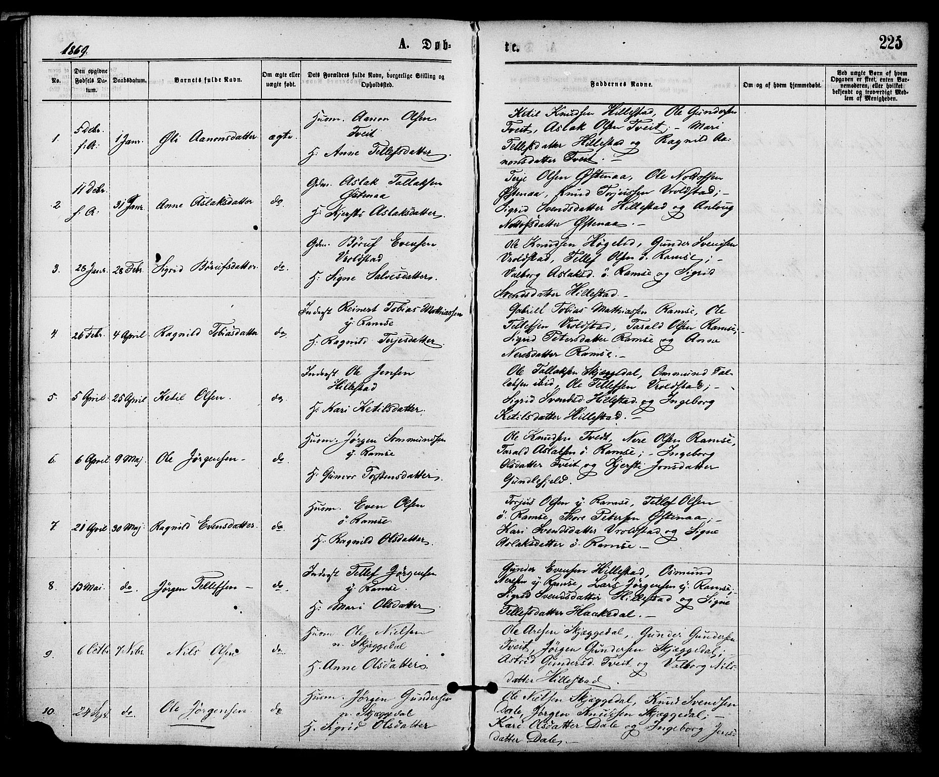 Åmli sokneprestkontor, SAK/1111-0050/F/Fa/Fac/L0009: Parish register (official) no. A 9 /3, 1869-1884, p. 225