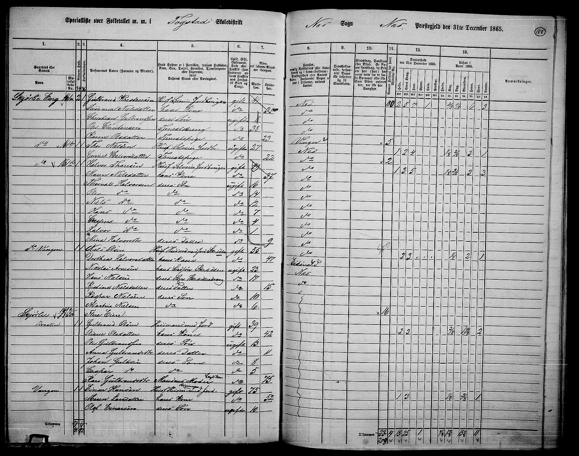 RA, 1865 census for Nes, 1865, p. 171