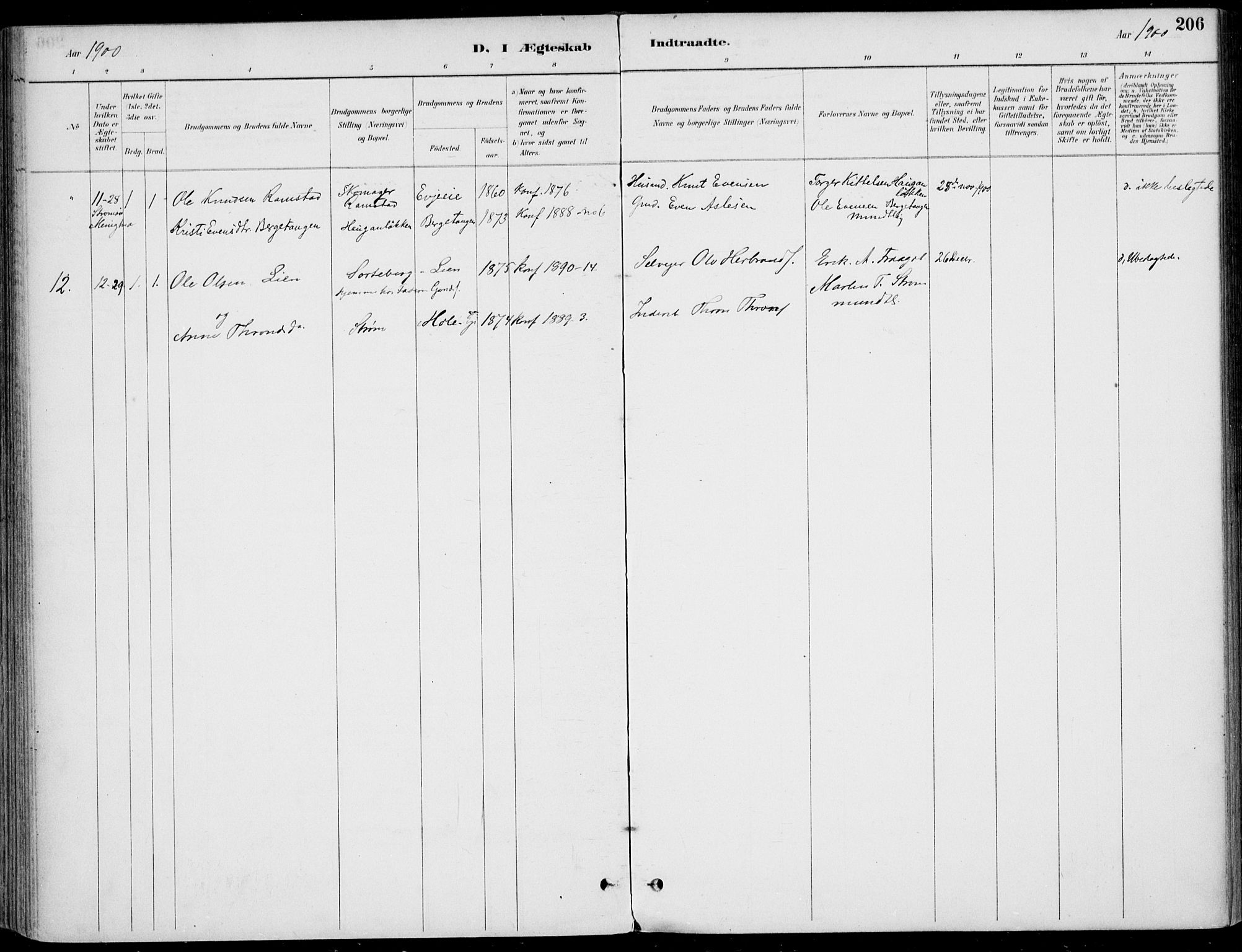 Sigdal kirkebøker, AV/SAKO-A-245/F/Fb/L0001: Parish register (official) no. II 1, 1888-1900, p. 206