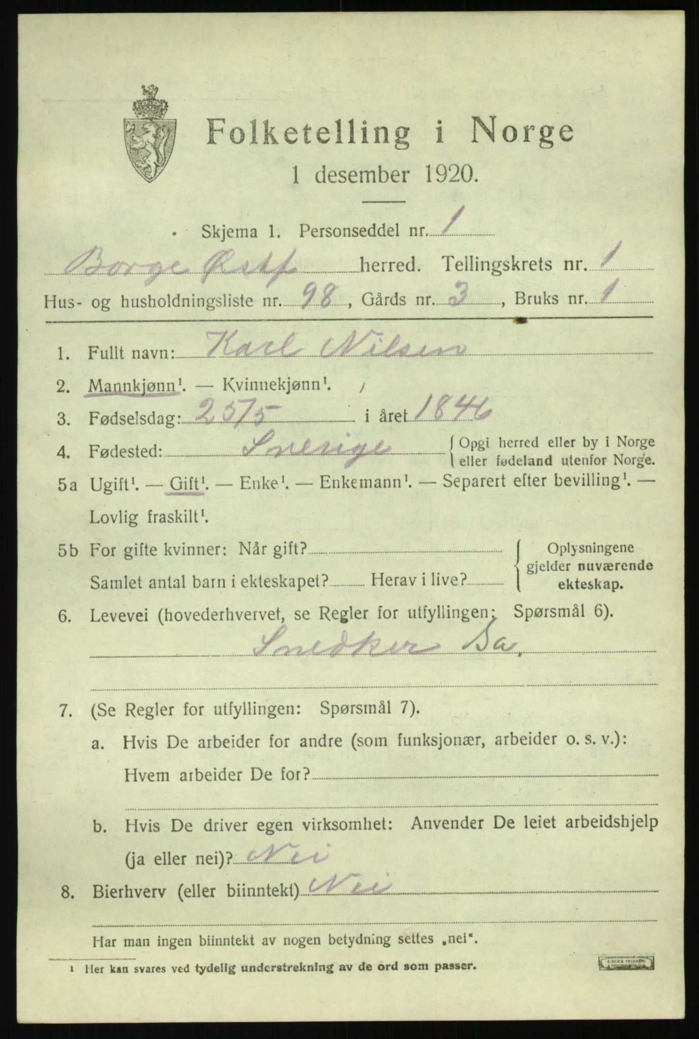 SAO, 1920 census for Borge, 1920, p. 3005