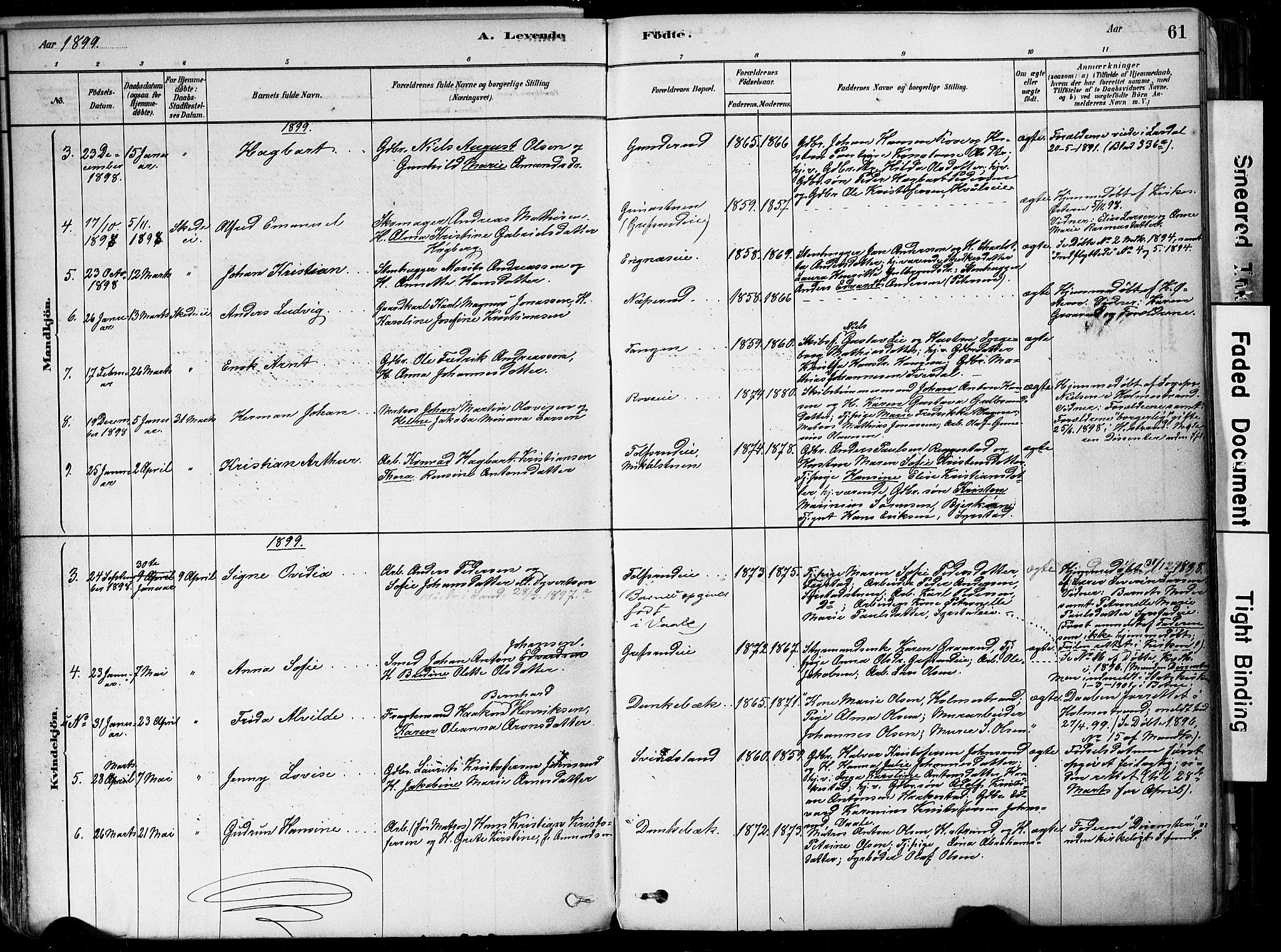 Botne kirkebøker, AV/SAKO-A-340/F/Fa/L0007: Parish register (official) no. I 7, 1878-1910, p. 61