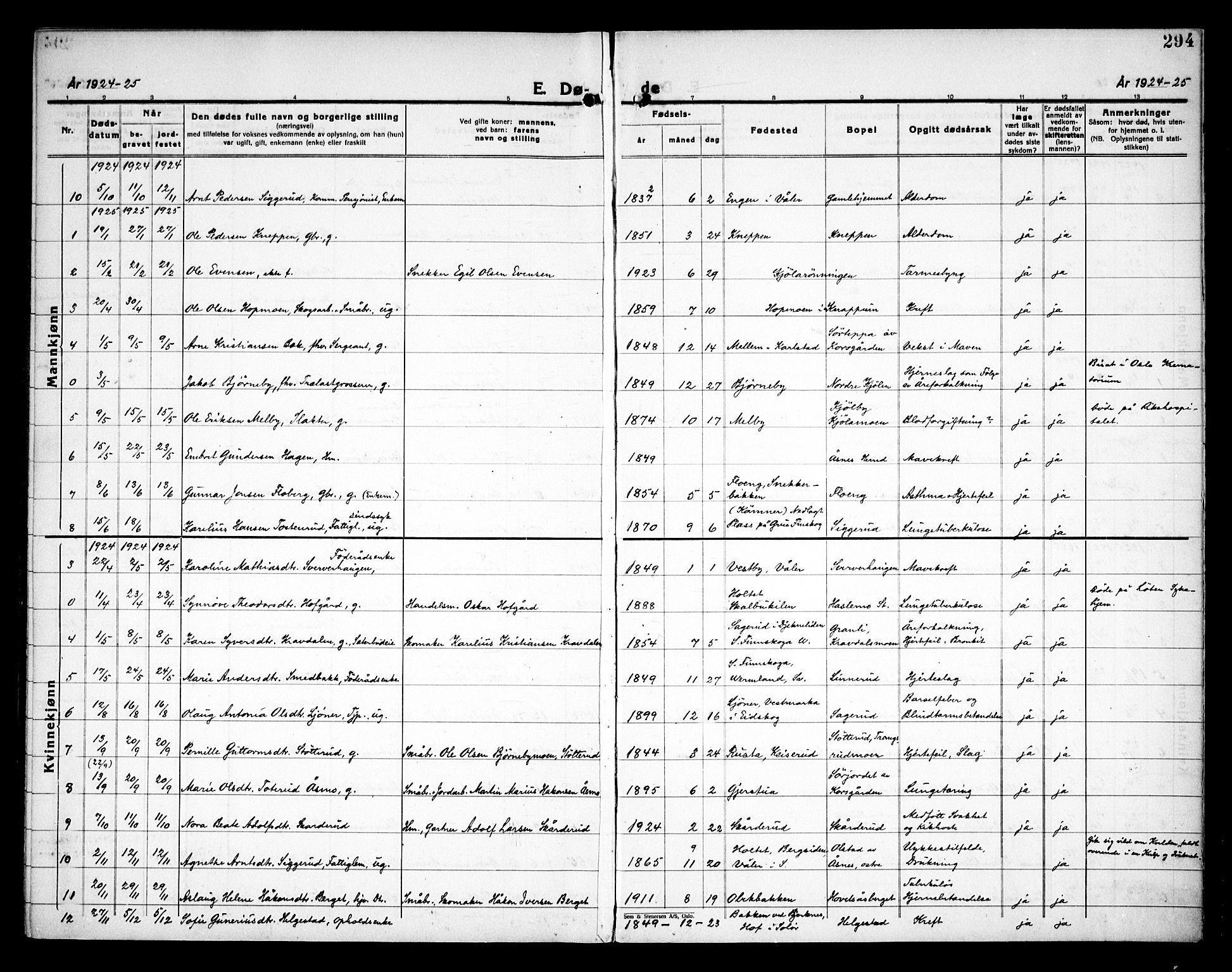 Åsnes prestekontor, SAH/PREST-042/H/Ha/Haa/L0000C: Parish register (official) no. 0A, 1890-1929, p. 294