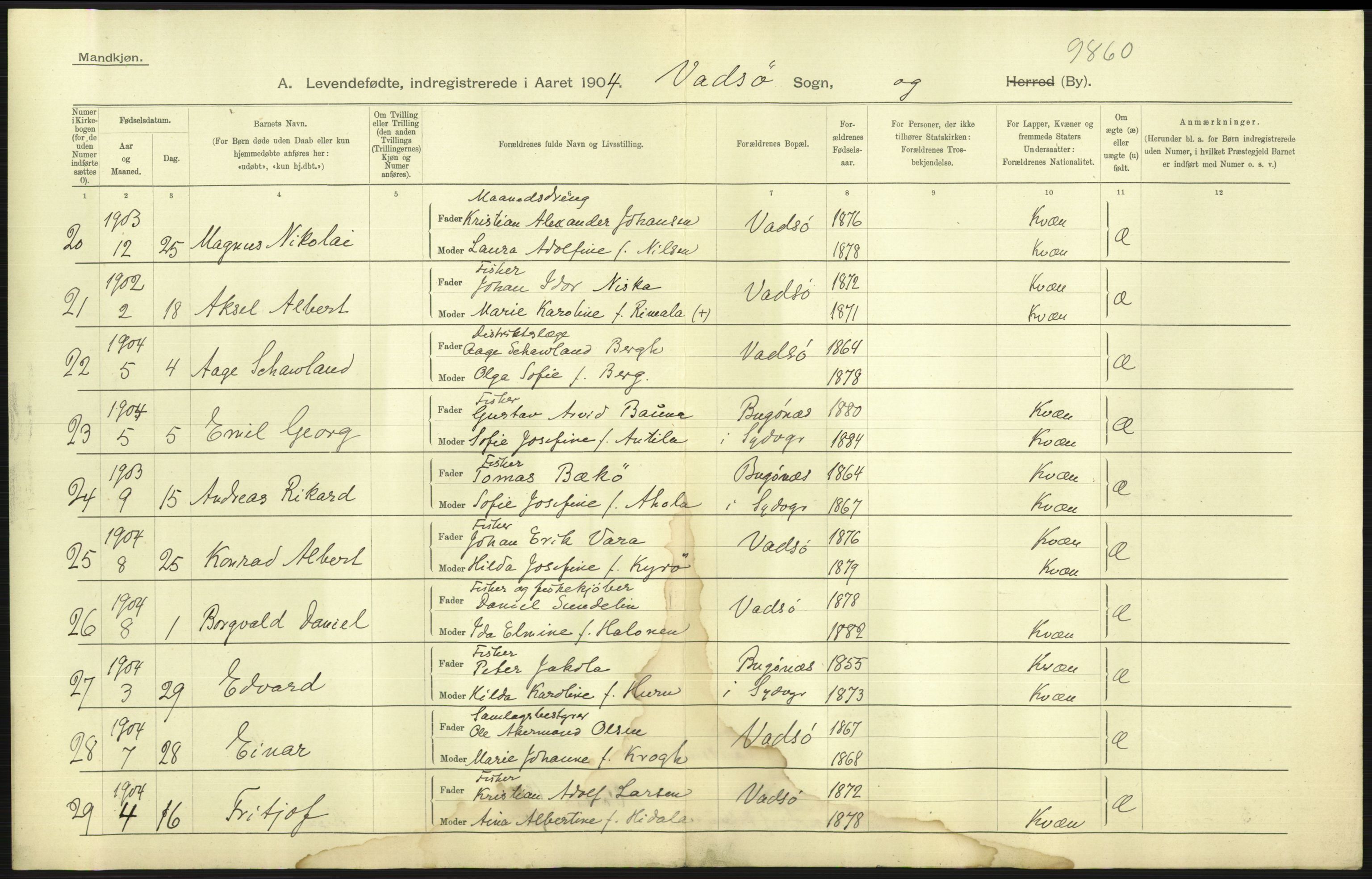 Statistisk sentralbyrå, Sosiodemografiske emner, Befolkning, AV/RA-S-2228/D/Df/Dfa/Dfab/L0023: Finnmarkens amt: Fødte, gifte, døde, 1904, p. 141