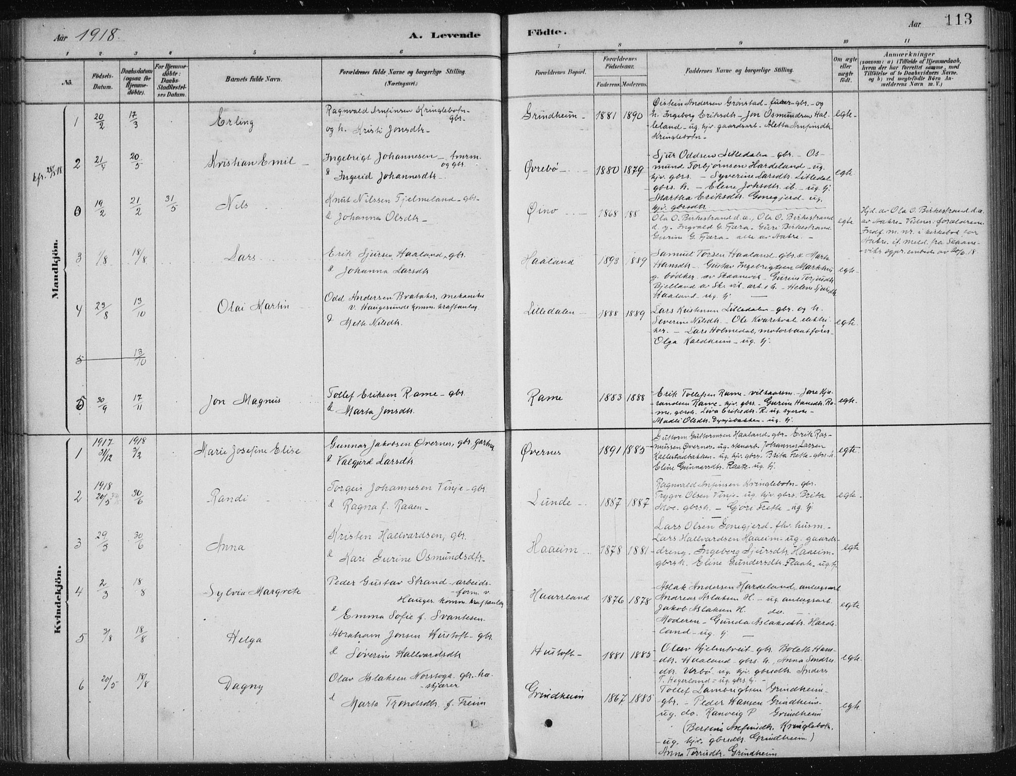 Etne sokneprestembete, SAB/A-75001/H/Haa: Parish register (official) no. D  1, 1879-1919, p. 113