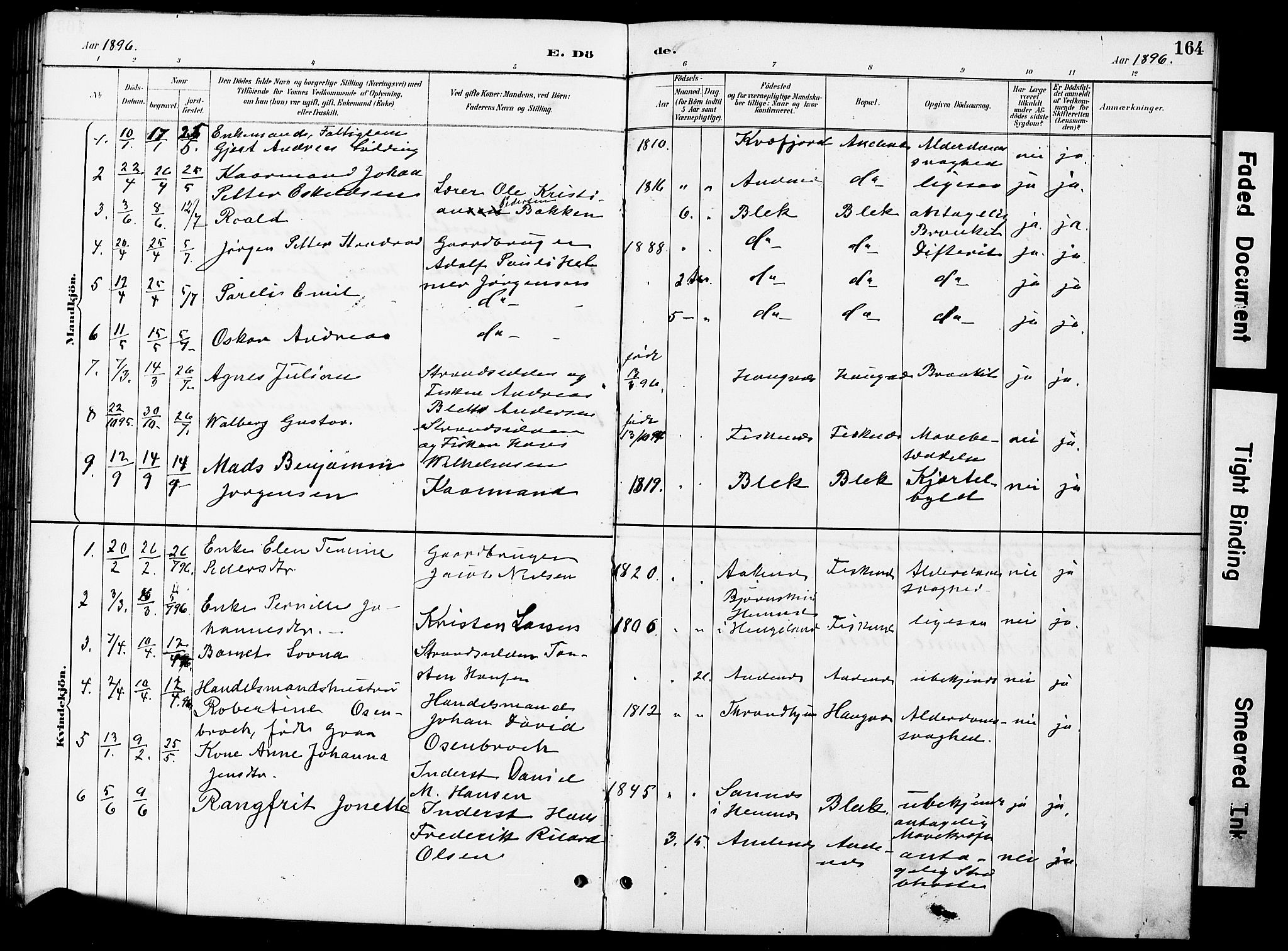 Ministerialprotokoller, klokkerbøker og fødselsregistre - Nordland, AV/SAT-A-1459/899/L1448: Parish register (copy) no. 899C03, 1887-1902, p. 164