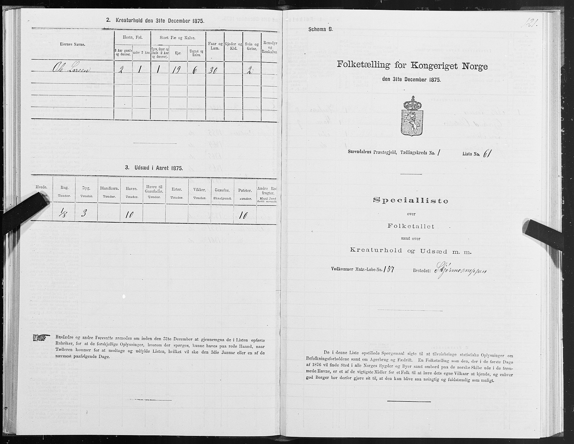 SAT, 1875 census for 1566P Surnadal, 1875, p. 1121