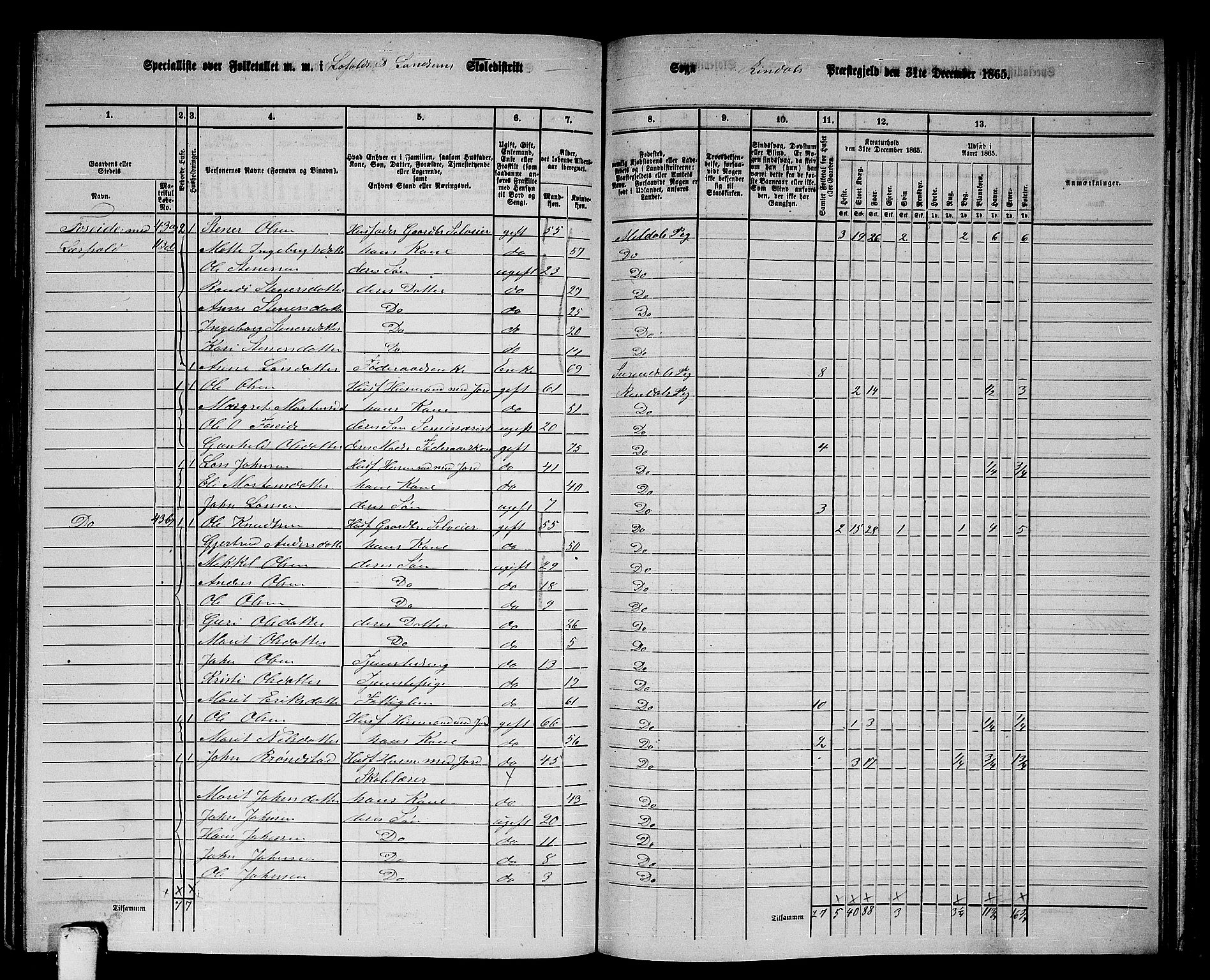 RA, 1865 census for Rindal, 1865, p. 47