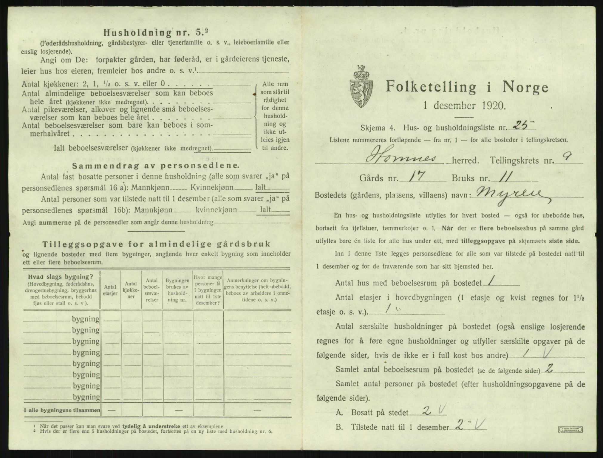 SAK, 1920 census for Hornnes, 1920, p. 399