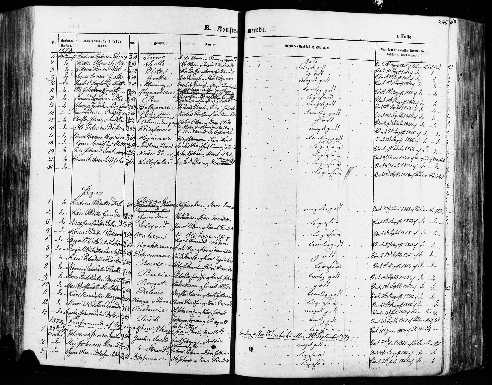 Vågå prestekontor, AV/SAH-PREST-076/H/Ha/Haa/L0007: Parish register (official) no. 7 /1, 1872-1886, p. 260