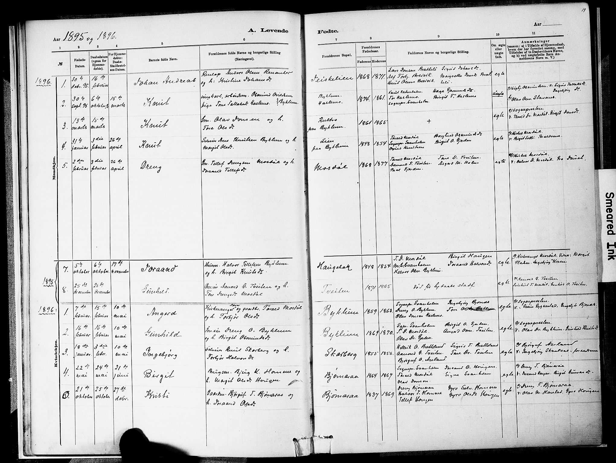 Valle sokneprestkontor, AV/SAK-1111-0044/F/Fa/Faa/L0001: Parish register (official) no. A 1, 1882-1907, p. 19
