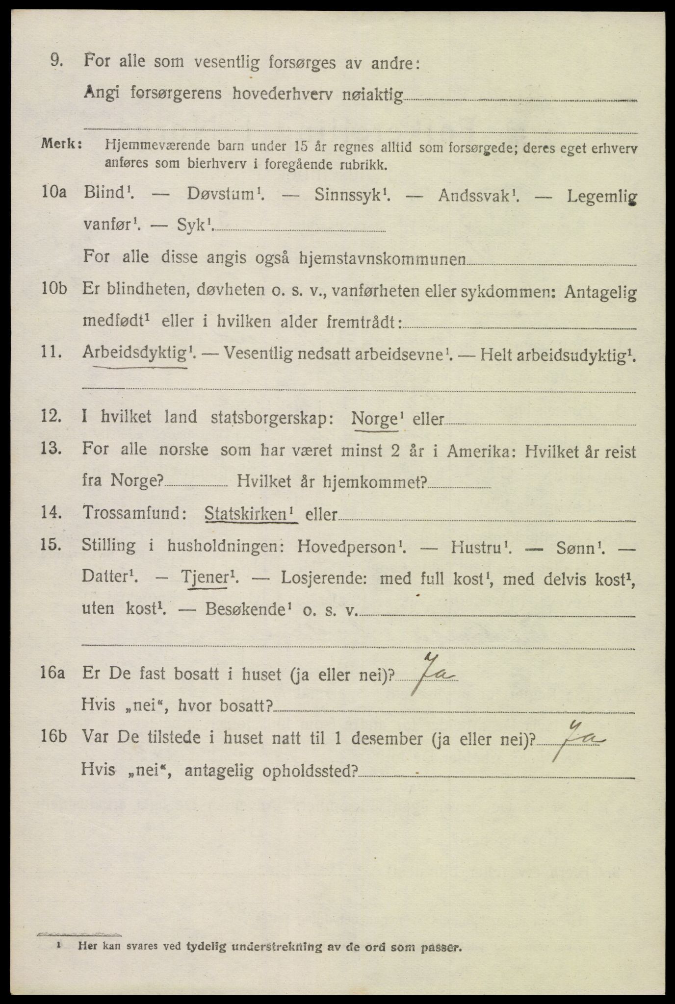 SAK, 1920 census for Hornnes, 1920, p. 706
