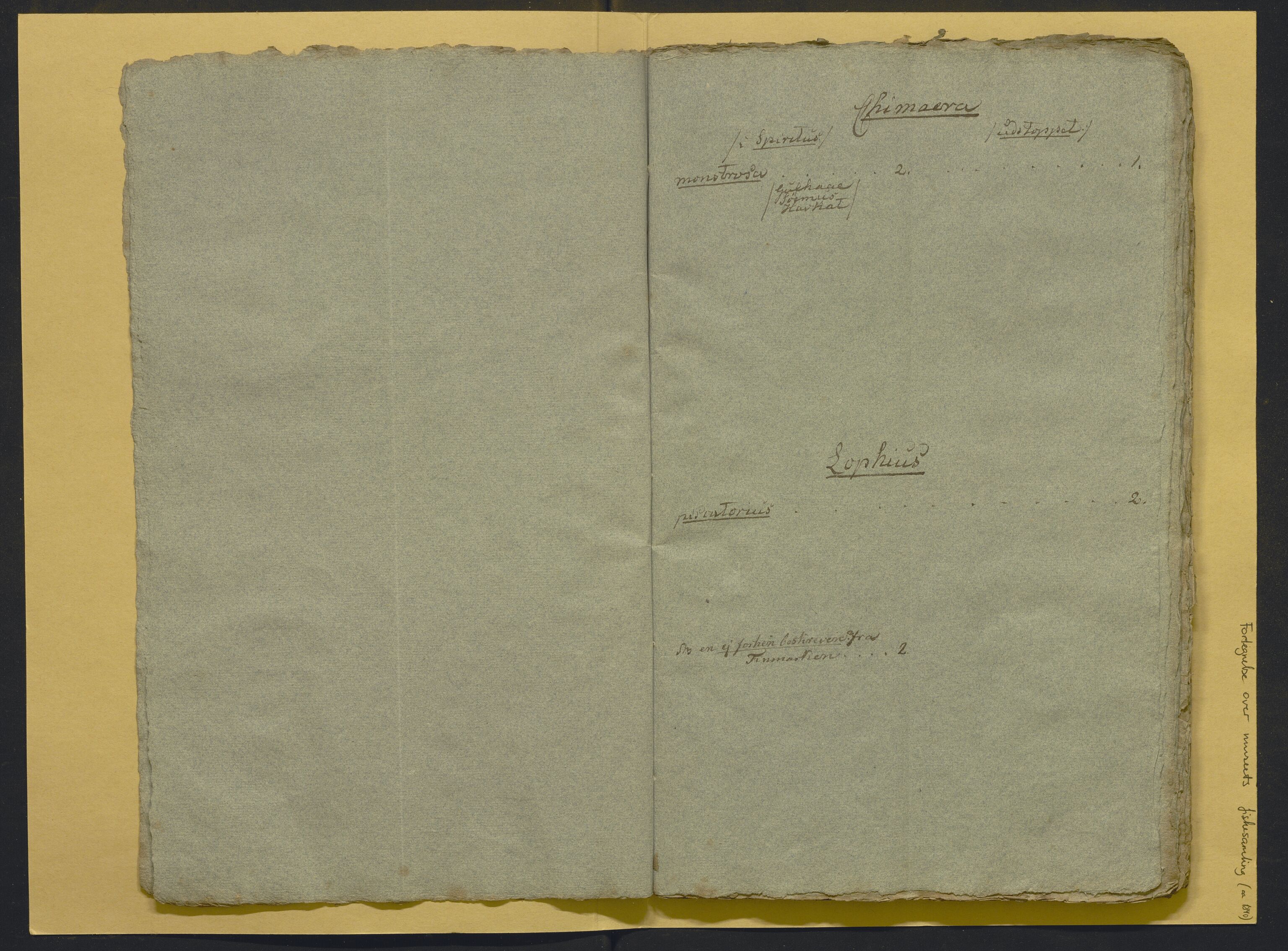 Bergens Museum, AV/SAB-A-17301/02/F/L0001: Kataloger over gjenstander og pergamentbrev , 1825-1880, p. 493