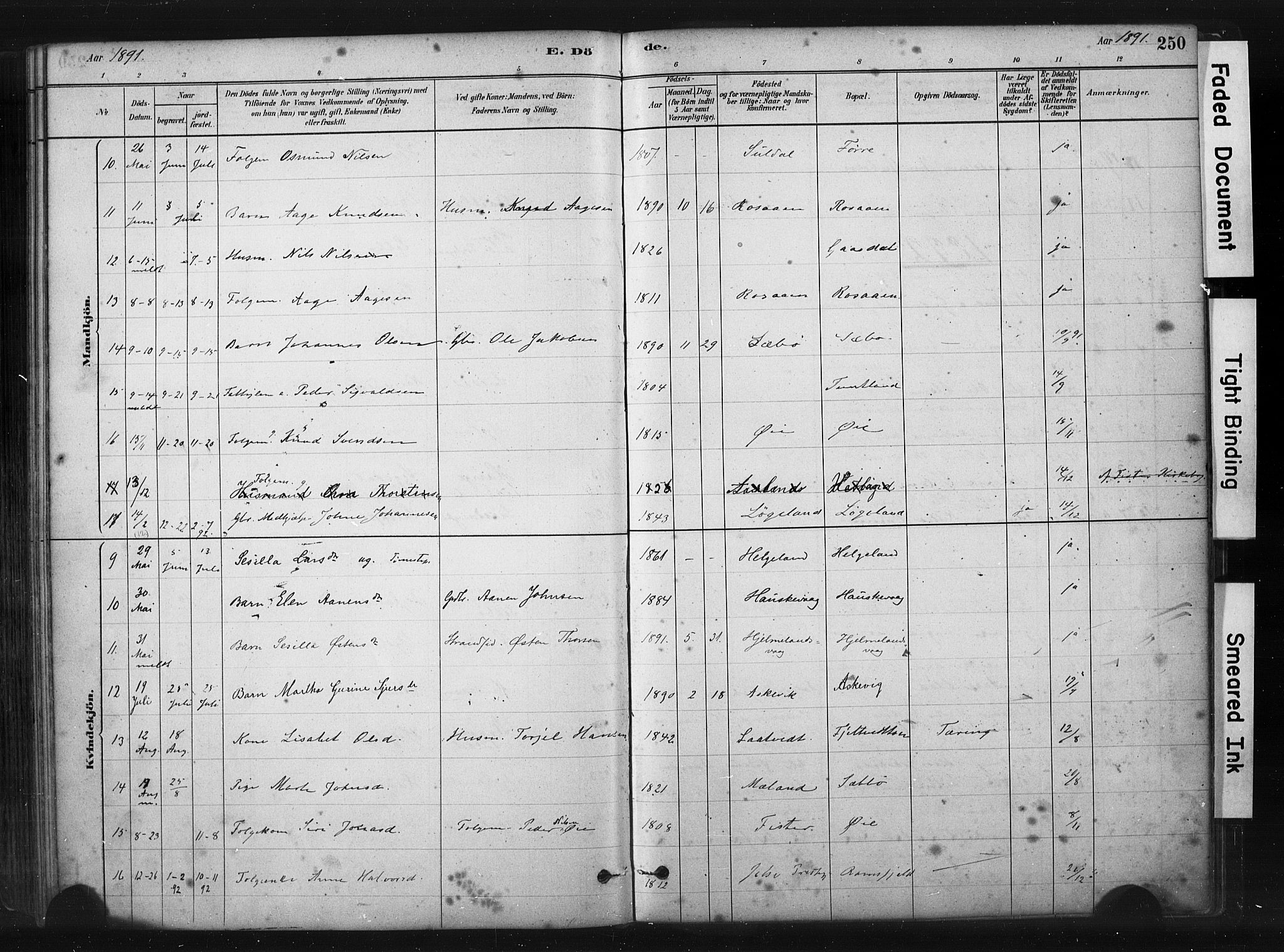 Hjelmeland sokneprestkontor, AV/SAST-A-101843/01/IV/L0014: Parish register (official) no. A 14, 1879-1900, p. 250