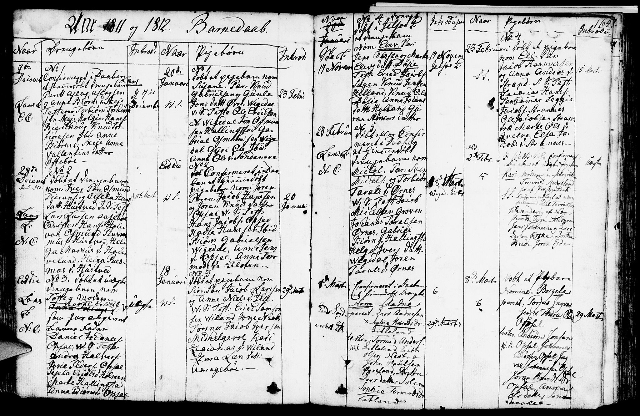 Vikedal sokneprestkontor, SAST/A-101840/01/IV: Parish register (official) no. A 2, 1779-1817, p. 164