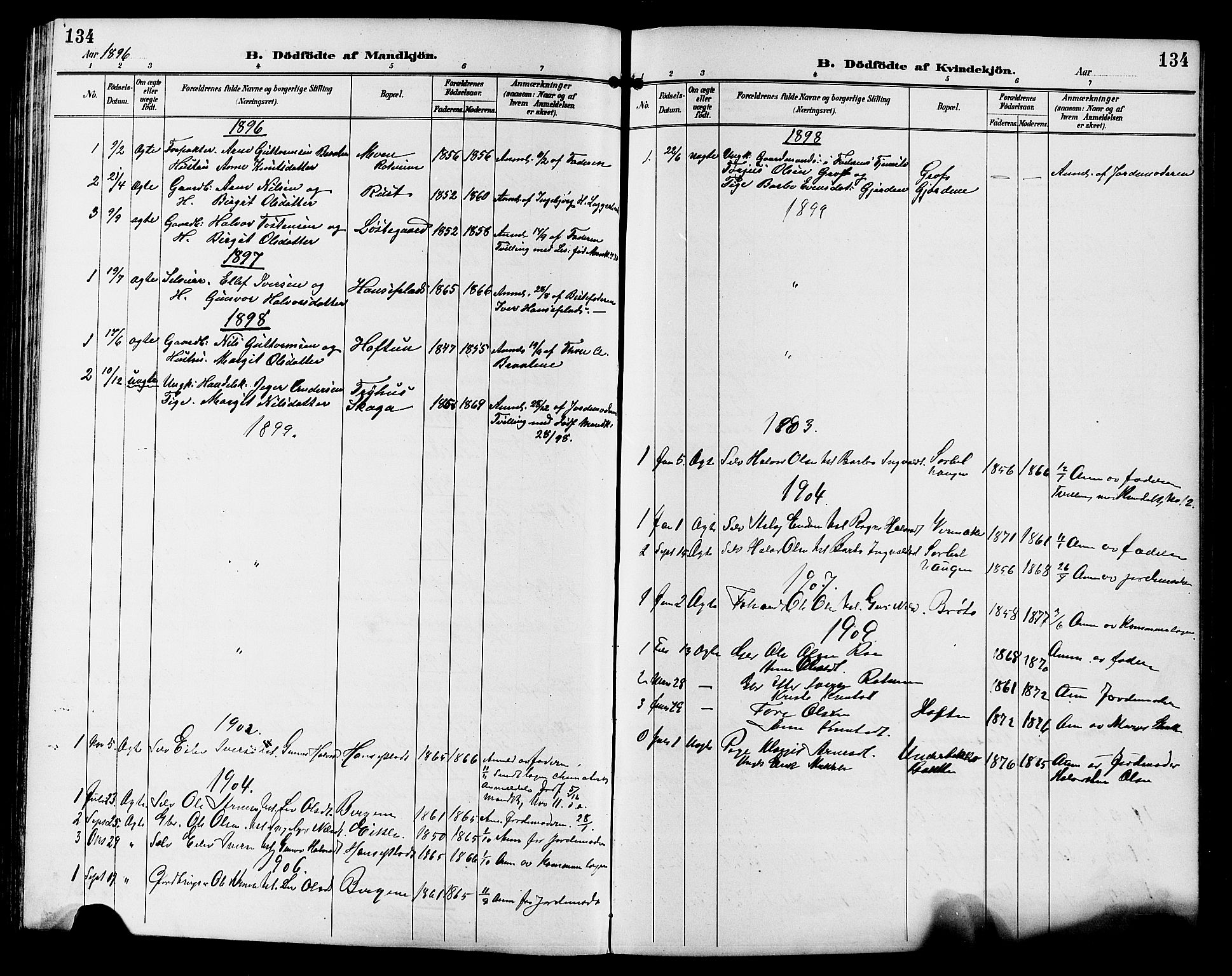 Gol kirkebøker, AV/SAKO-A-226/G/Ga/L0003: Parish register (copy) no. I 3, 1887-1914, p. 134