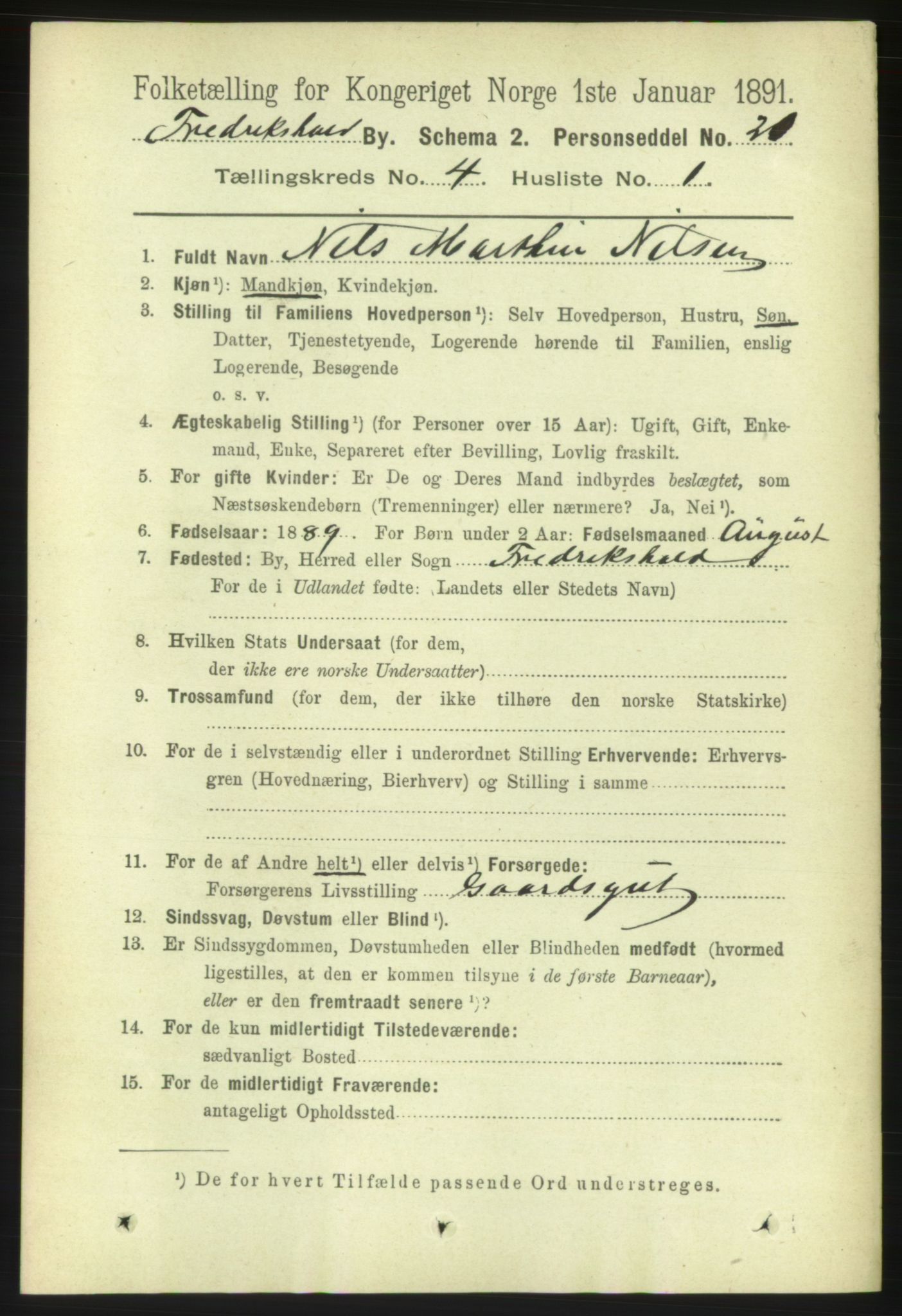 RA, 1891 census for 0101 Fredrikshald, 1891, p. 3753