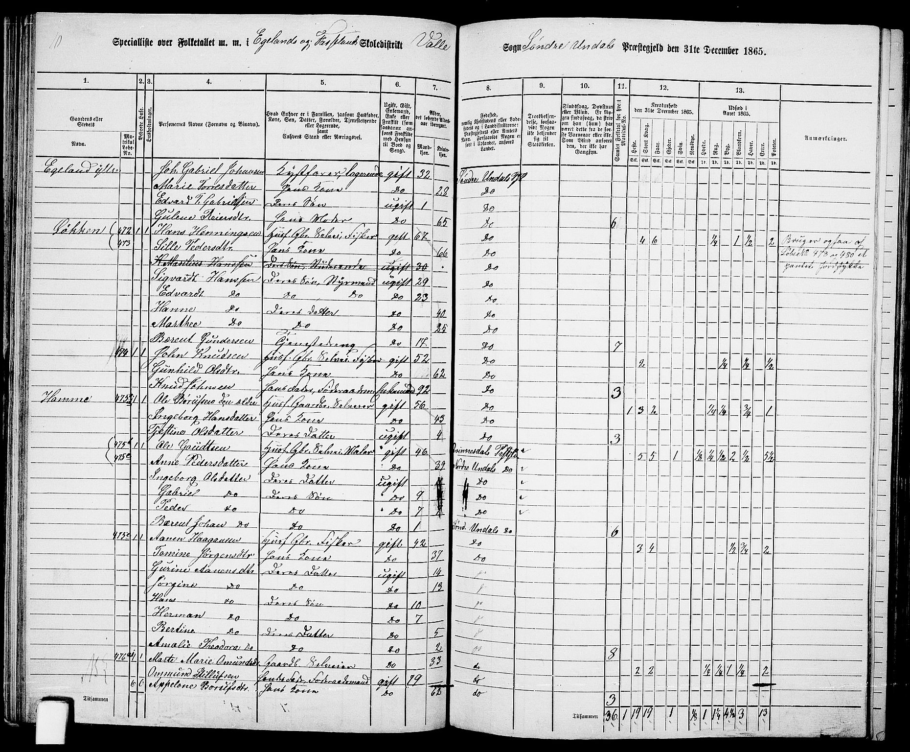 RA, 1865 census for Sør-Audnedal, 1865, p. 74