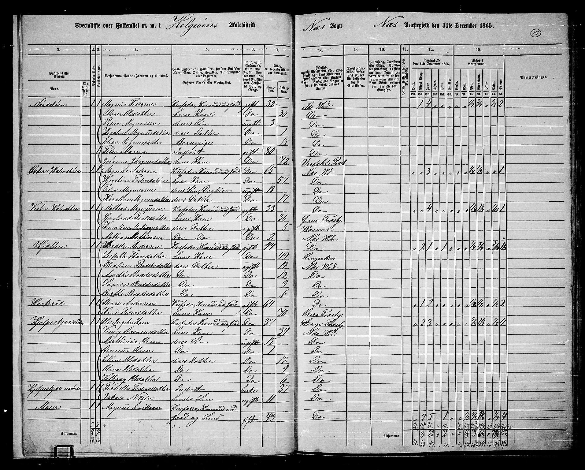 RA, 1865 census for Nes, 1865, p. 13