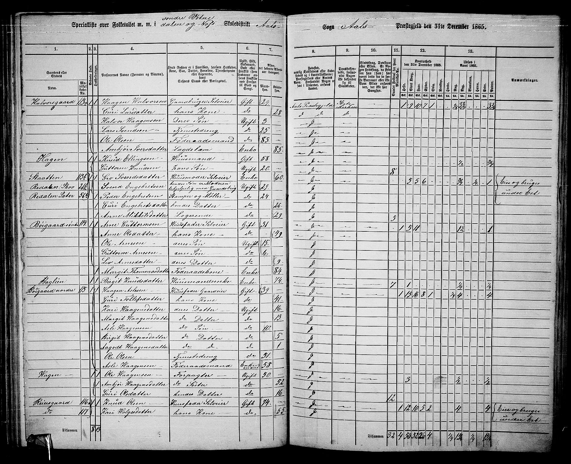 RA, 1865 census for Ål, 1865, p. 75