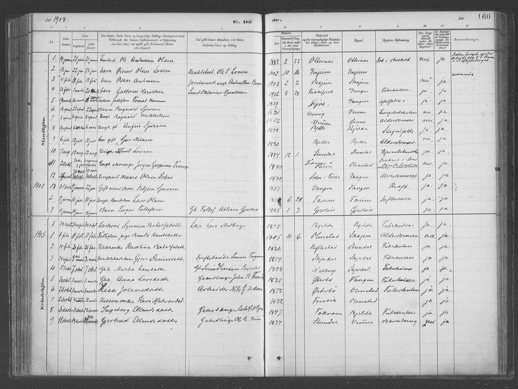Aurland sokneprestembete, SAB/A-99937/H/Ha/Hab/L0001: Parish register (official) no. B  1, 1880-1909, p. 160