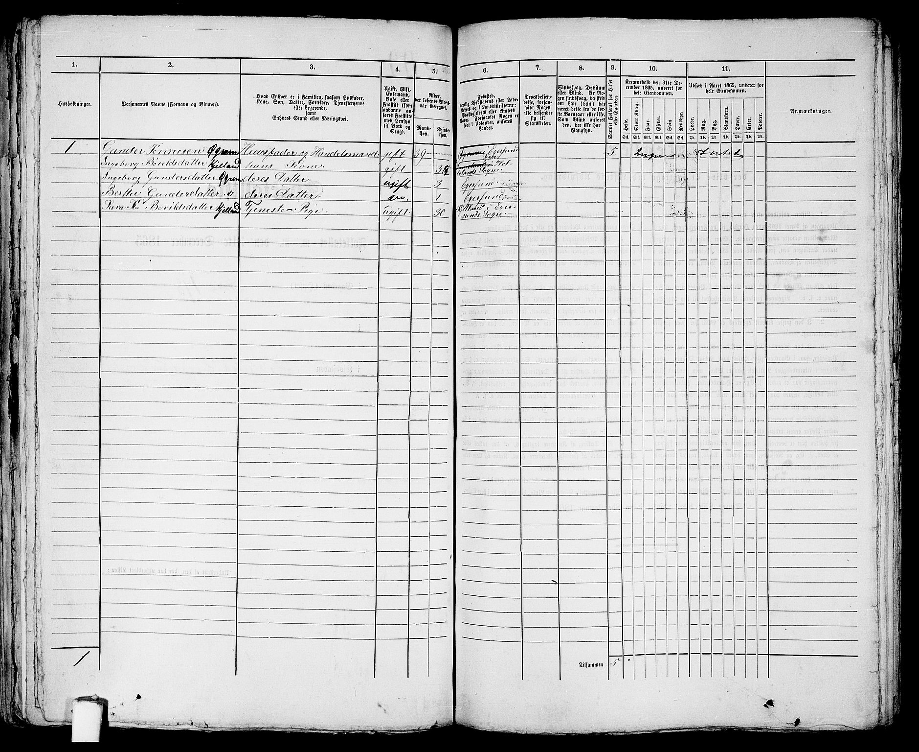 RA, 1865 census for Eigersund parish, Egersund town, 1865, p. 249