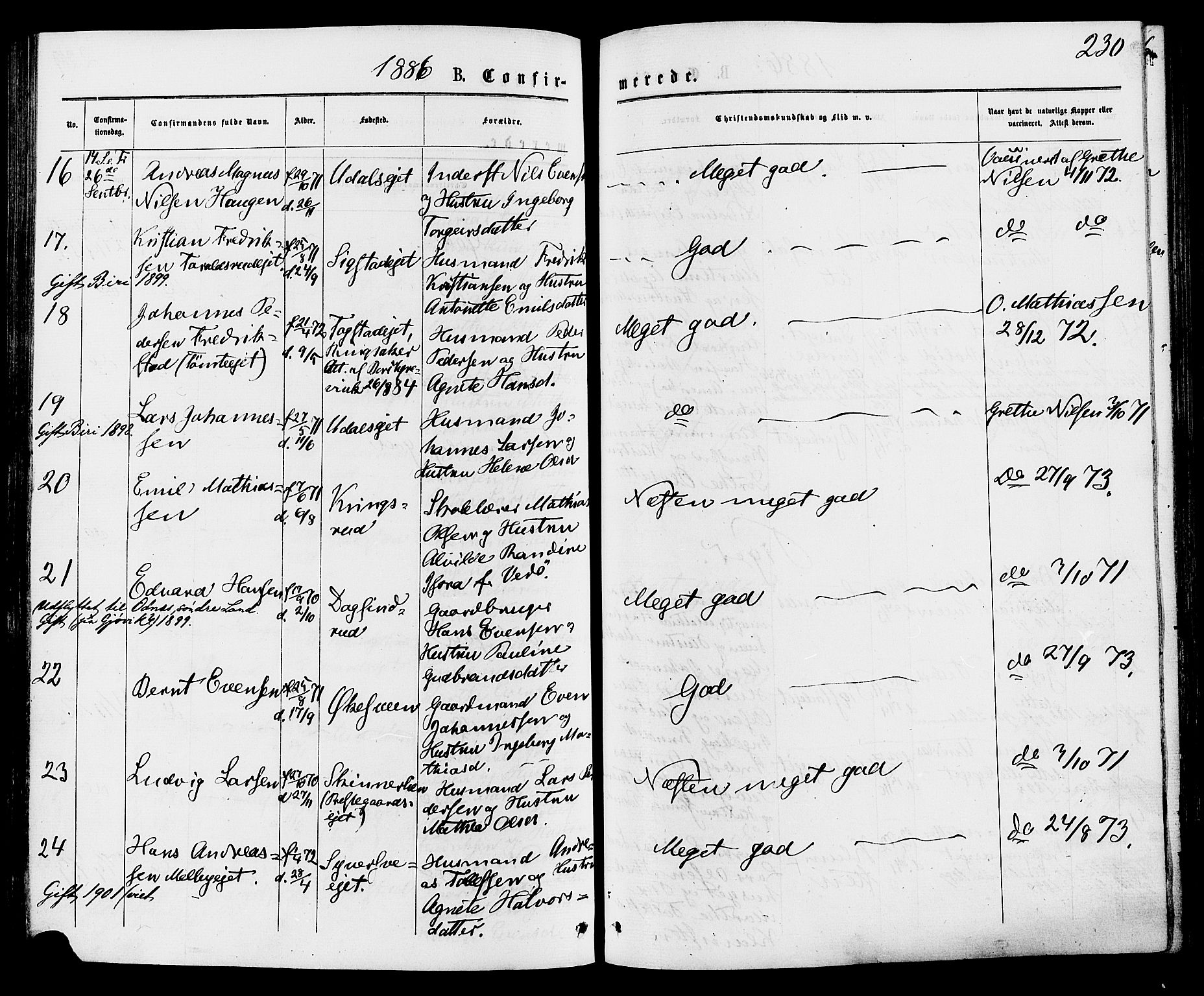 Biri prestekontor, AV/SAH-PREST-096/H/Ha/Haa/L0006: Parish register (official) no. 6, 1877-1886, p. 230