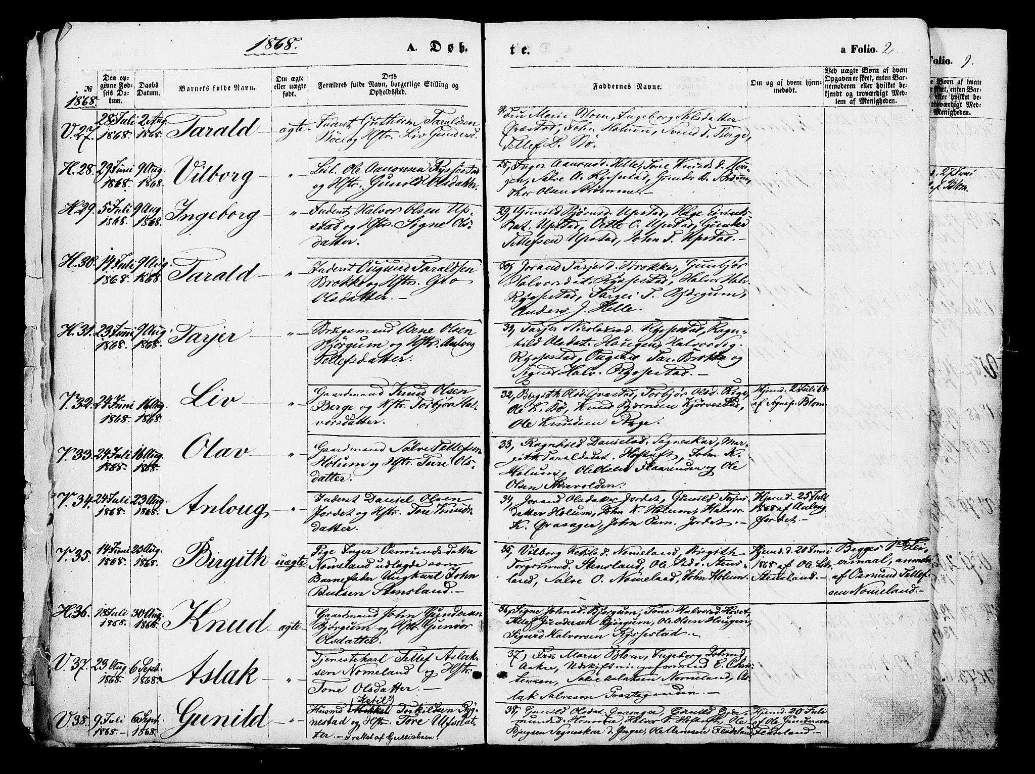 Valle sokneprestkontor, SAK/1111-0044/F/Fa/Fac/L0008: Parish register (official) no. A 8, 1868-1882, p. 2