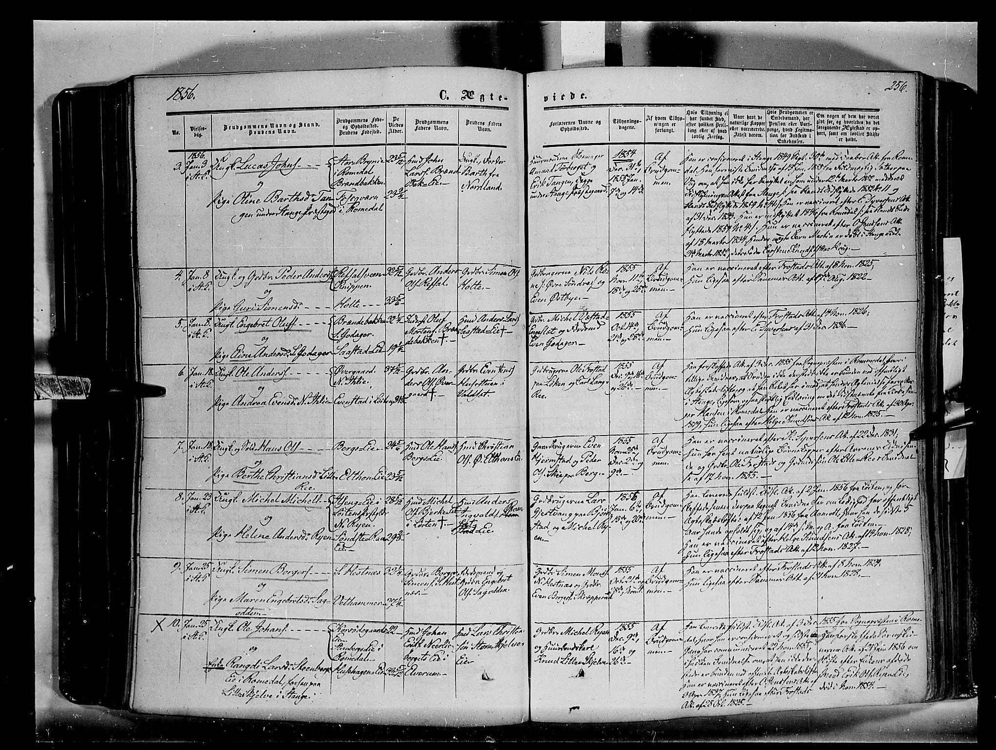 Stange prestekontor, AV/SAH-PREST-002/K/L0012: Parish register (official) no. 12, 1852-1862, p. 256