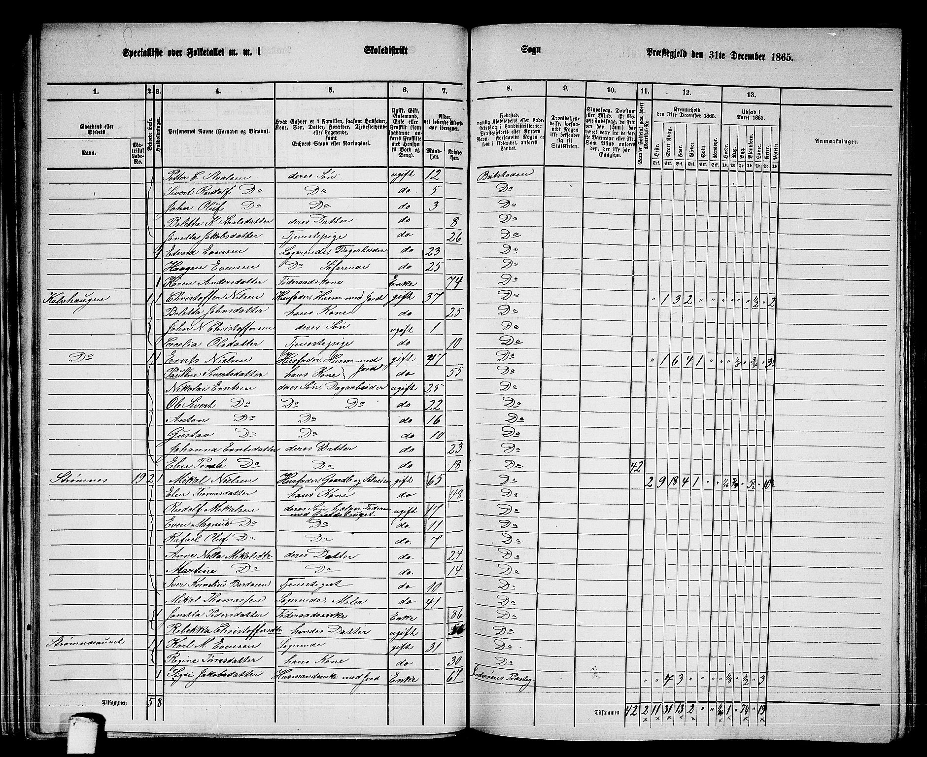 RA, 1865 census for Beitstad, 1865, p. 42