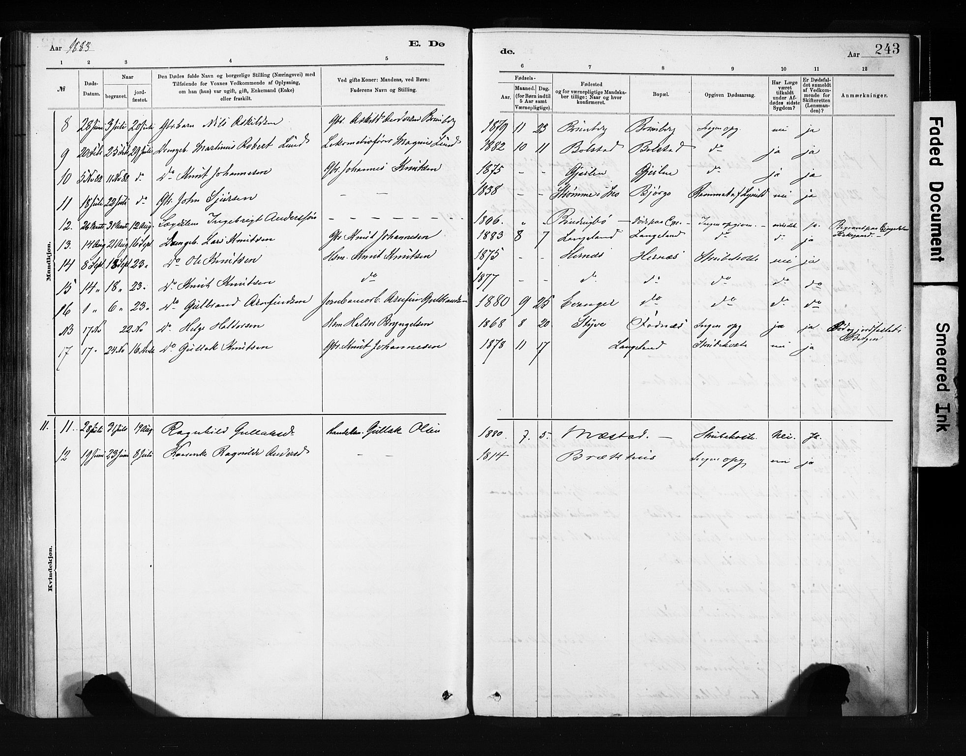 Evanger sokneprestembete, SAB/A-99924: Parish register (official) no. A 1, 1877-1899, p. 243