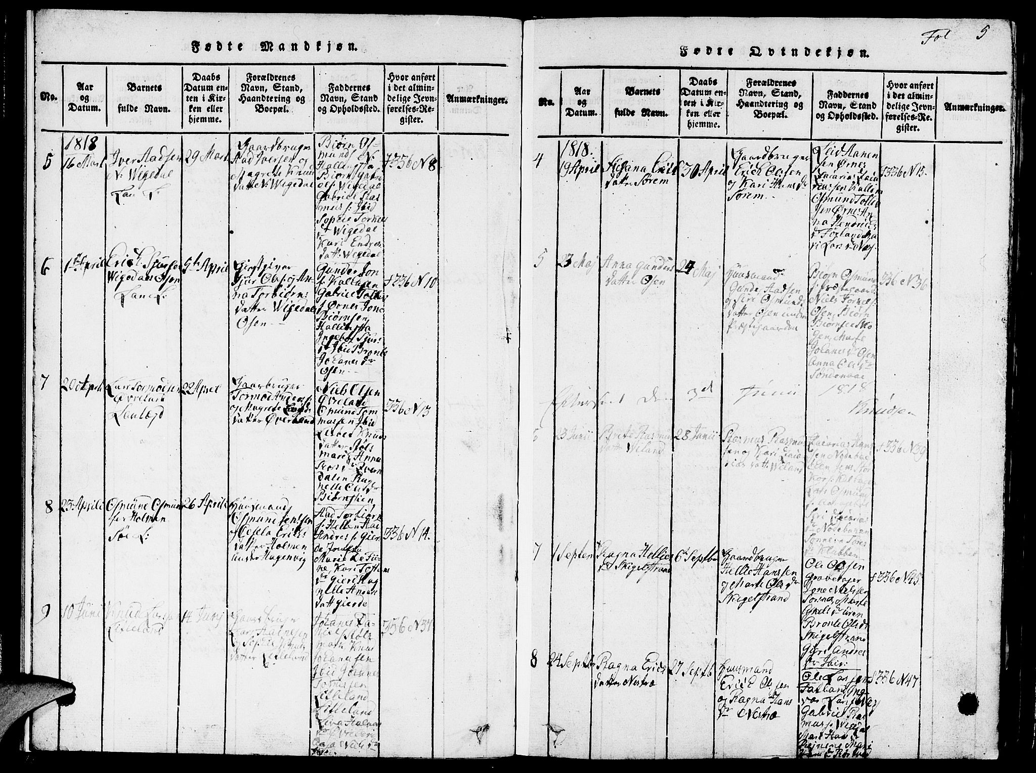 Vikedal sokneprestkontor, SAST/A-101840/01/V: Parish register (copy) no. B 1, 1816-1853, p. 5