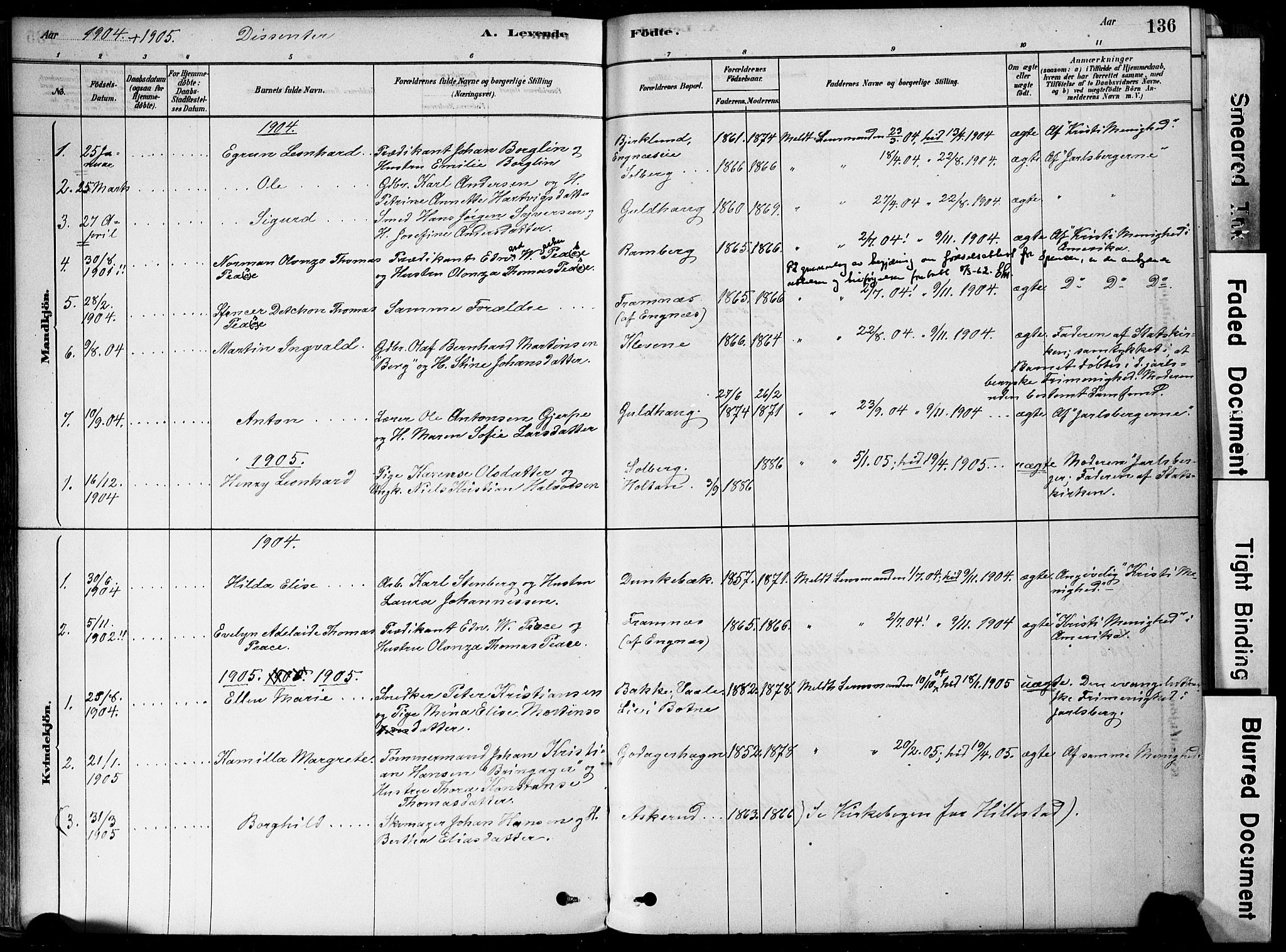 Botne kirkebøker, AV/SAKO-A-340/F/Fa/L0007: Parish register (official) no. I 7, 1878-1910, p. 136