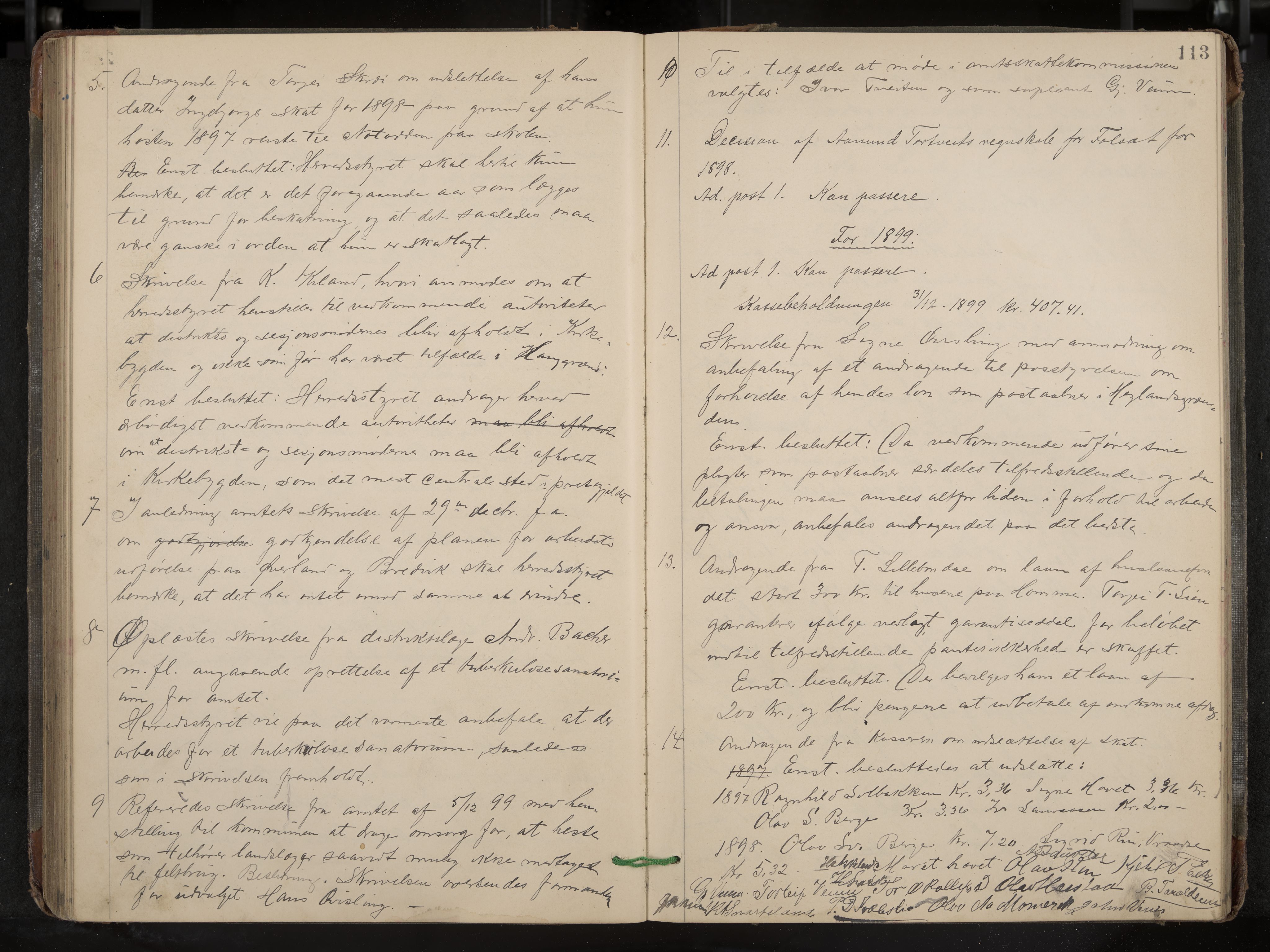 Fyresdal formannskap og sentraladministrasjon, IKAK/0831021-1/Aa/L0003: Møtebok, 1894-1903, p. 113