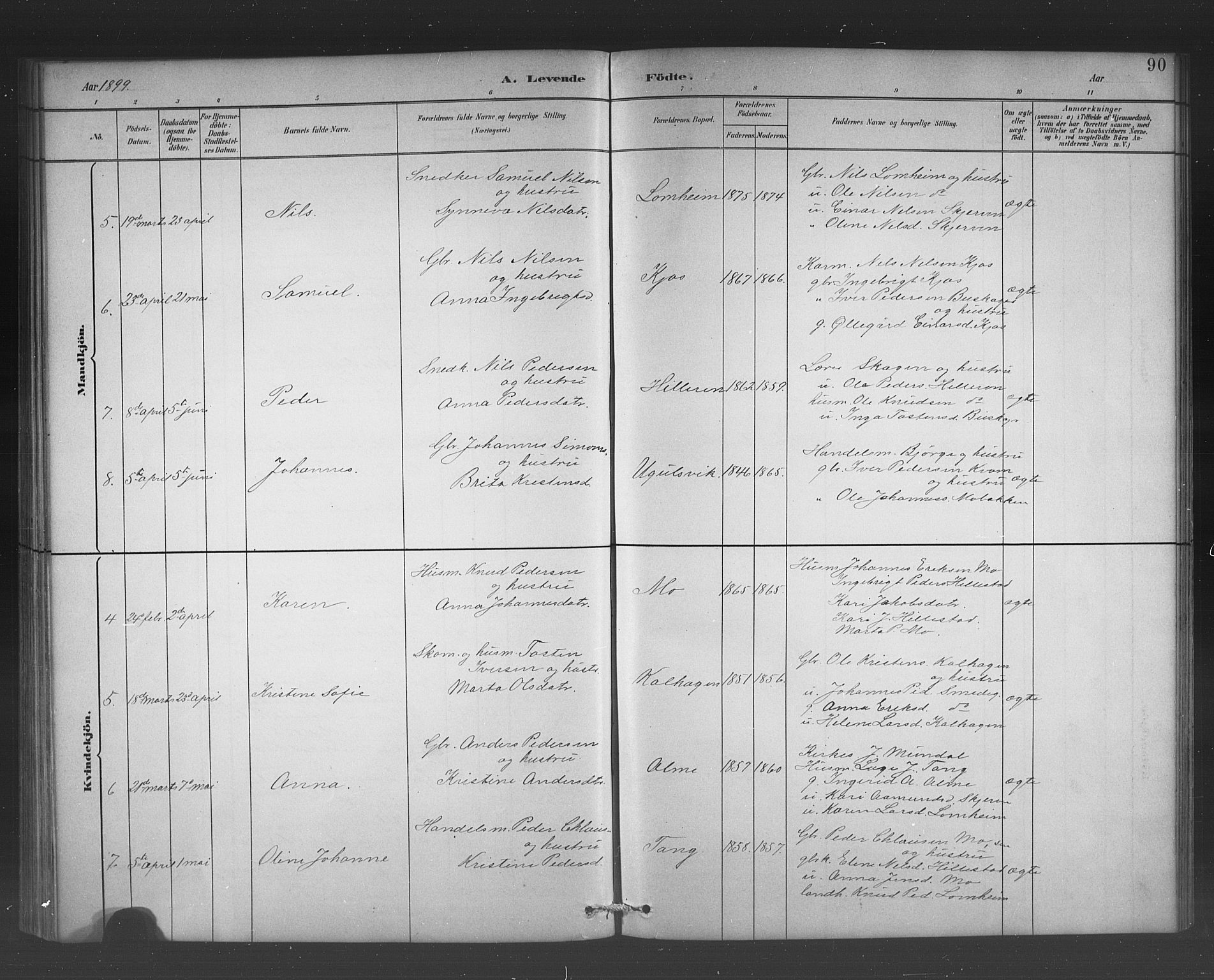 Hafslo sokneprestembete, AV/SAB-A-80301/H/Hab/Habb/L0001: Parish register (copy) no. B 1, 1882-1908, p. 90