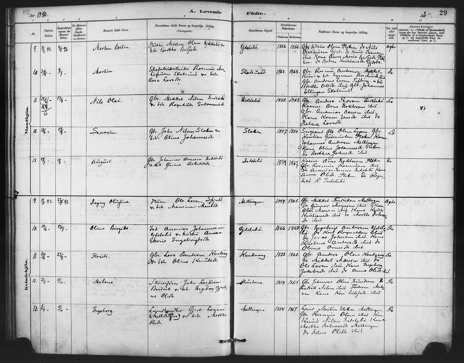 Lindås Sokneprestembete, AV/SAB-A-76701/H/Haa/Haae/L0001: Parish register (official) no. E 1, 1886-1897, p. 29