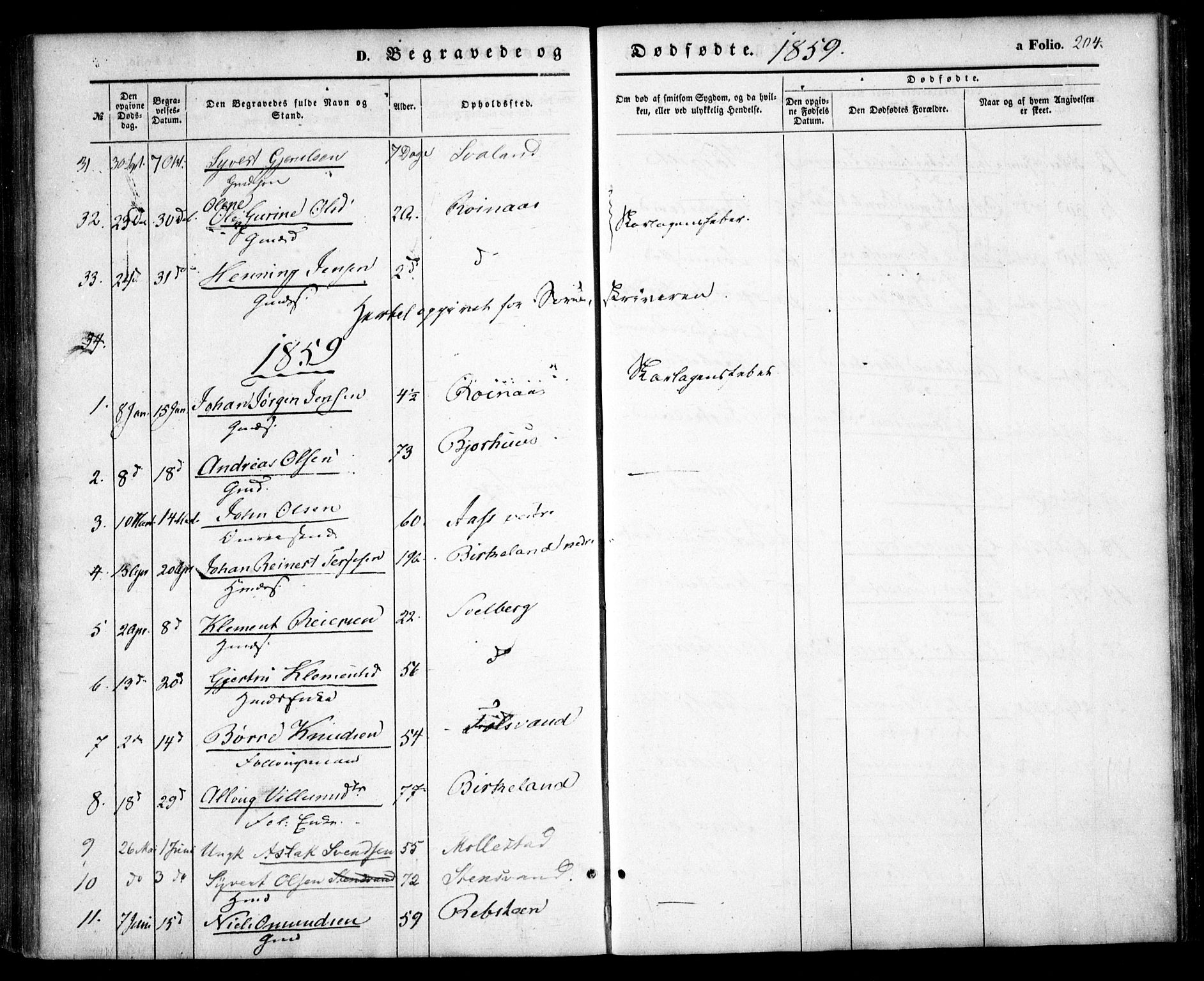 Birkenes sokneprestkontor, AV/SAK-1111-0004/F/Fa/L0003: Parish register (official) no. A 3, 1850-1866, p. 204