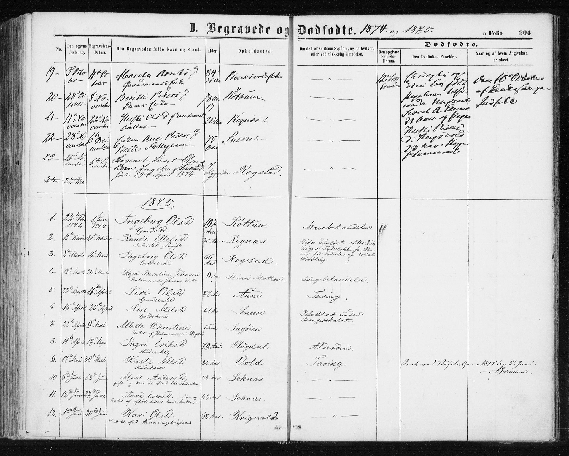 Ministerialprotokoller, klokkerbøker og fødselsregistre - Sør-Trøndelag, SAT/A-1456/687/L1001: Parish register (official) no. 687A07, 1863-1878, p. 204