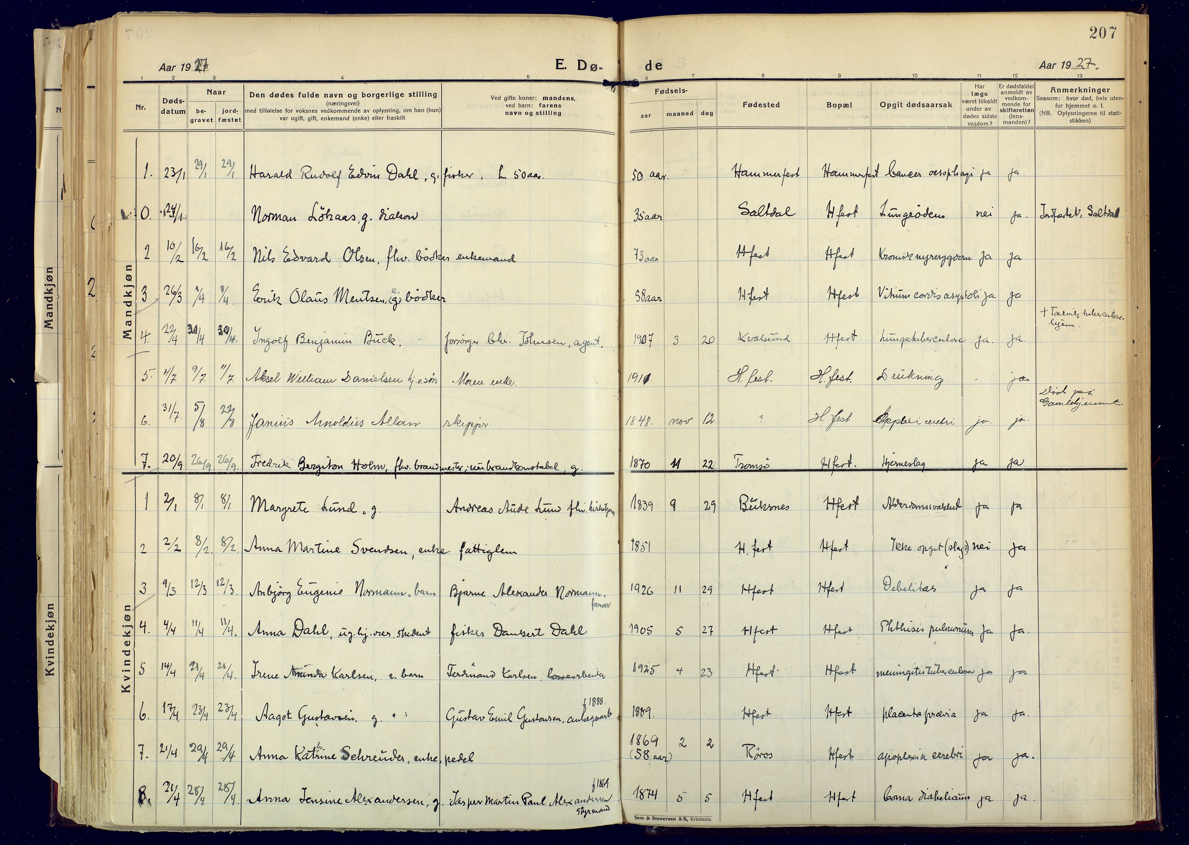Hammerfest sokneprestkontor, SATØ/S-1347: Parish register (official) no. 17, 1923-1933, p. 207