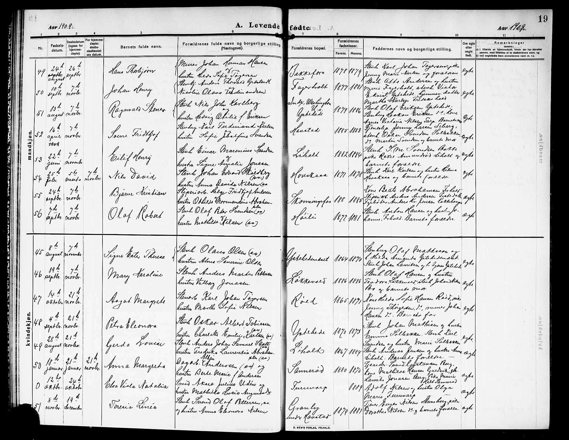 Idd prestekontor Kirkebøker, AV/SAO-A-10911/G/Gb/L0002: Parish register (copy) no. II 2, 1907-1913, p. 19