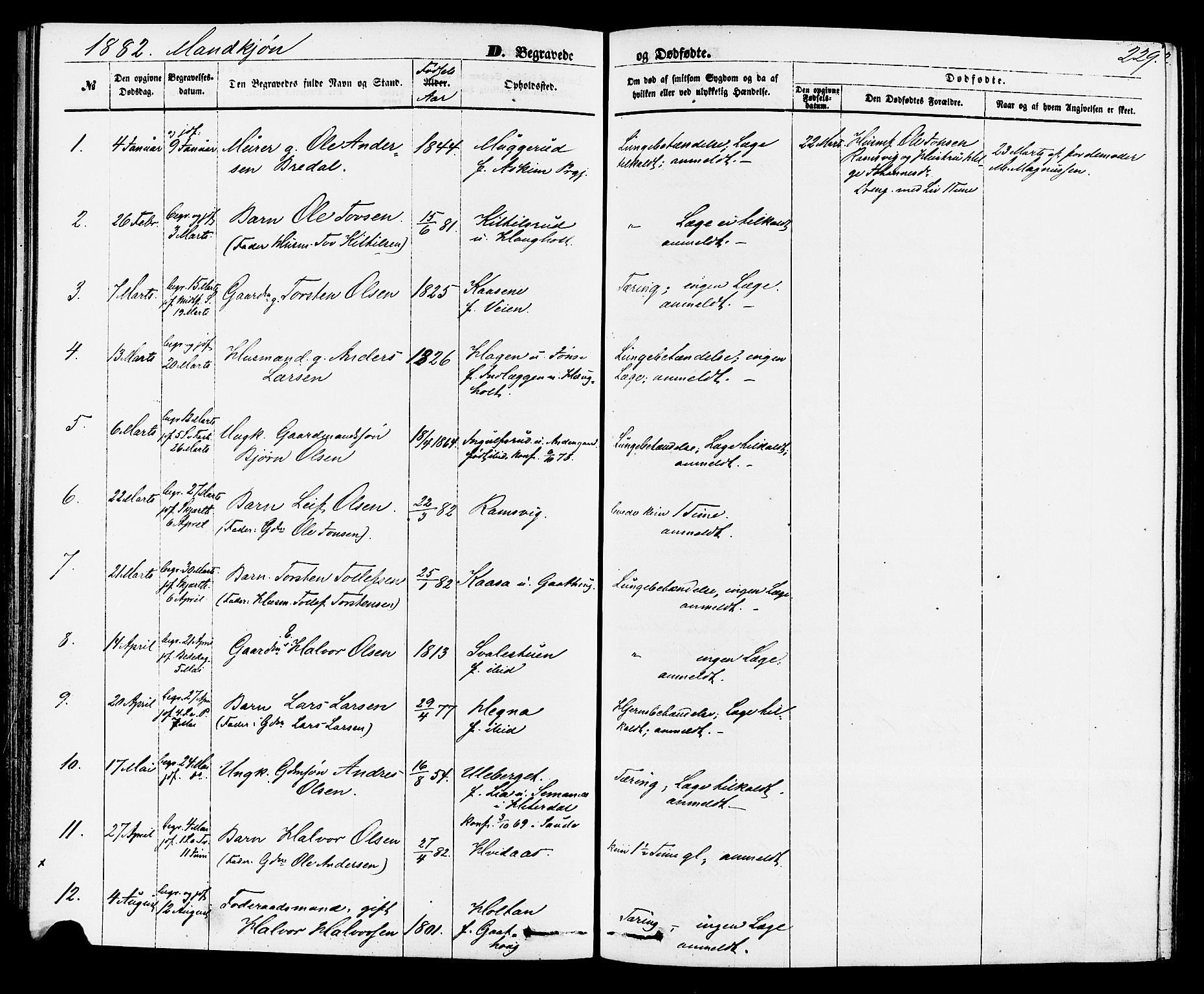 Sauherad kirkebøker, AV/SAKO-A-298/F/Fa/L0008: Parish register (official) no. I 8, 1873-1886, p. 229