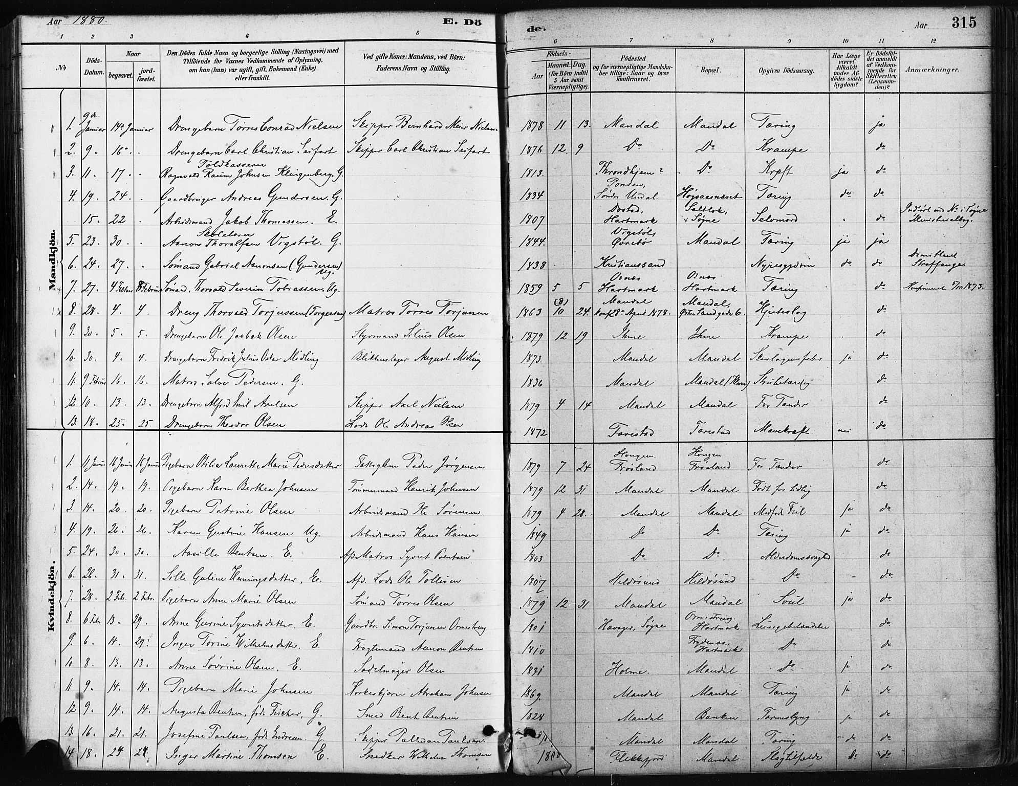 Mandal sokneprestkontor, SAK/1111-0030/F/Fa/Faa/L0016: Parish register (official) no. A 16, 1880-1890, p. 315