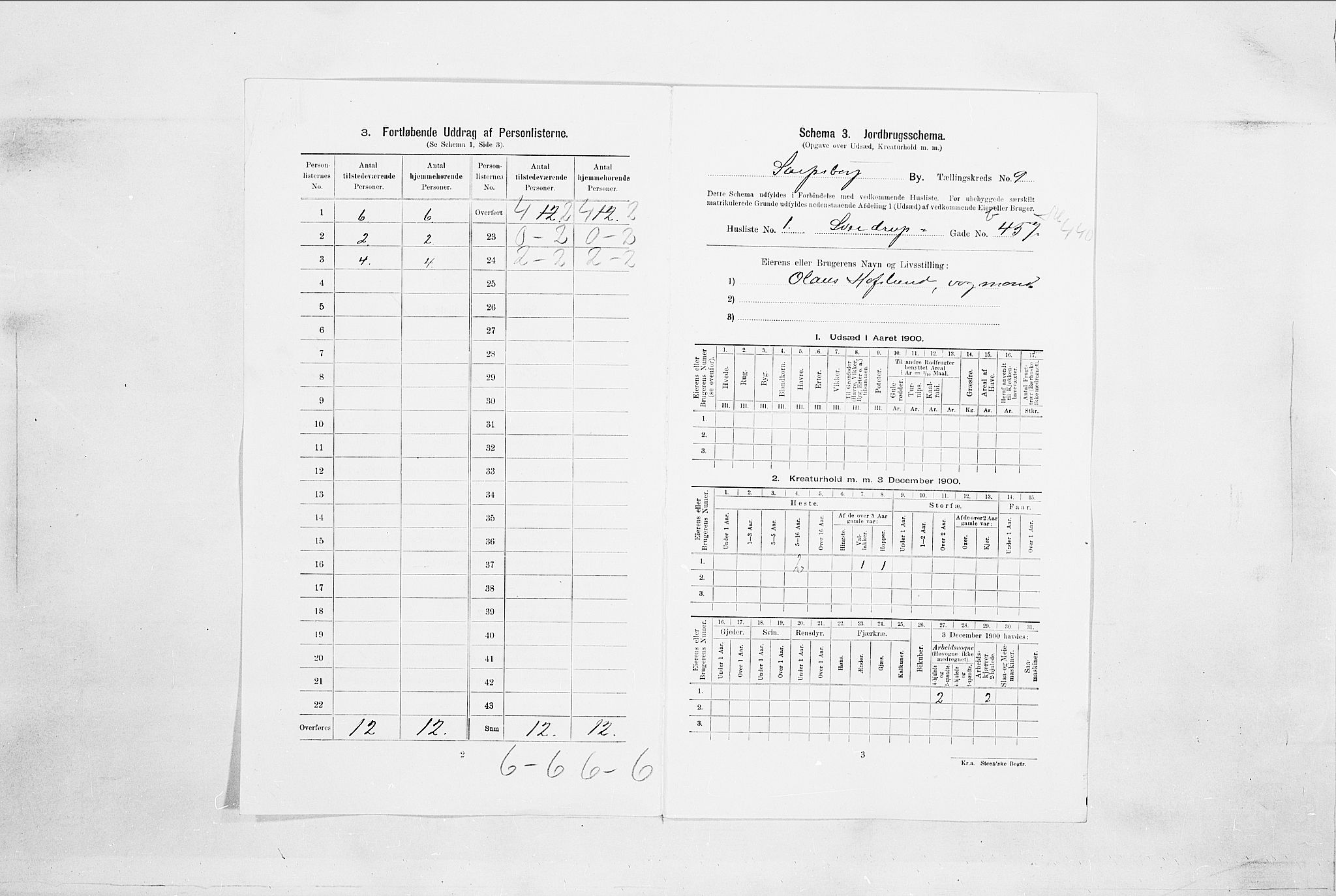 SAO, 1900 census for Sarpsborg, 1900